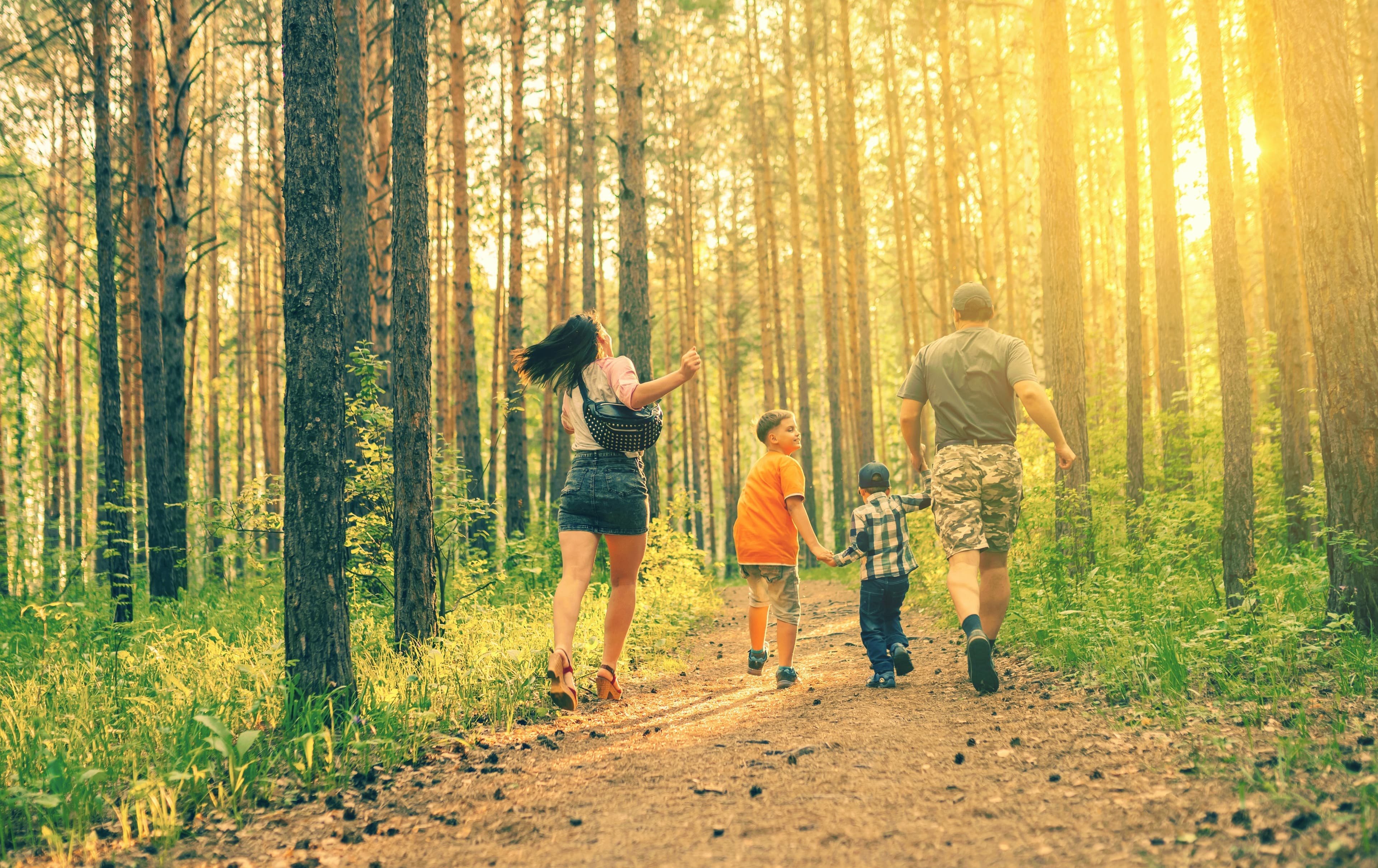 family walking in the woods