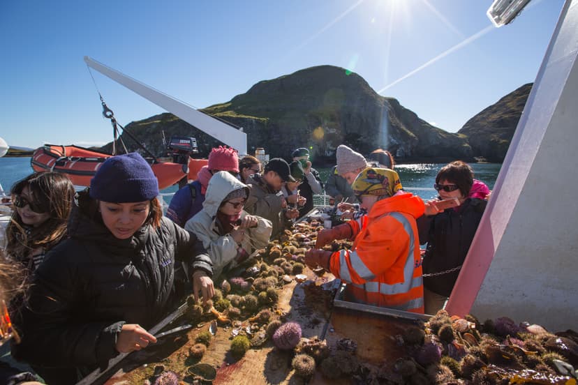 Viking-Sushi-Boat-Stykkisholmur