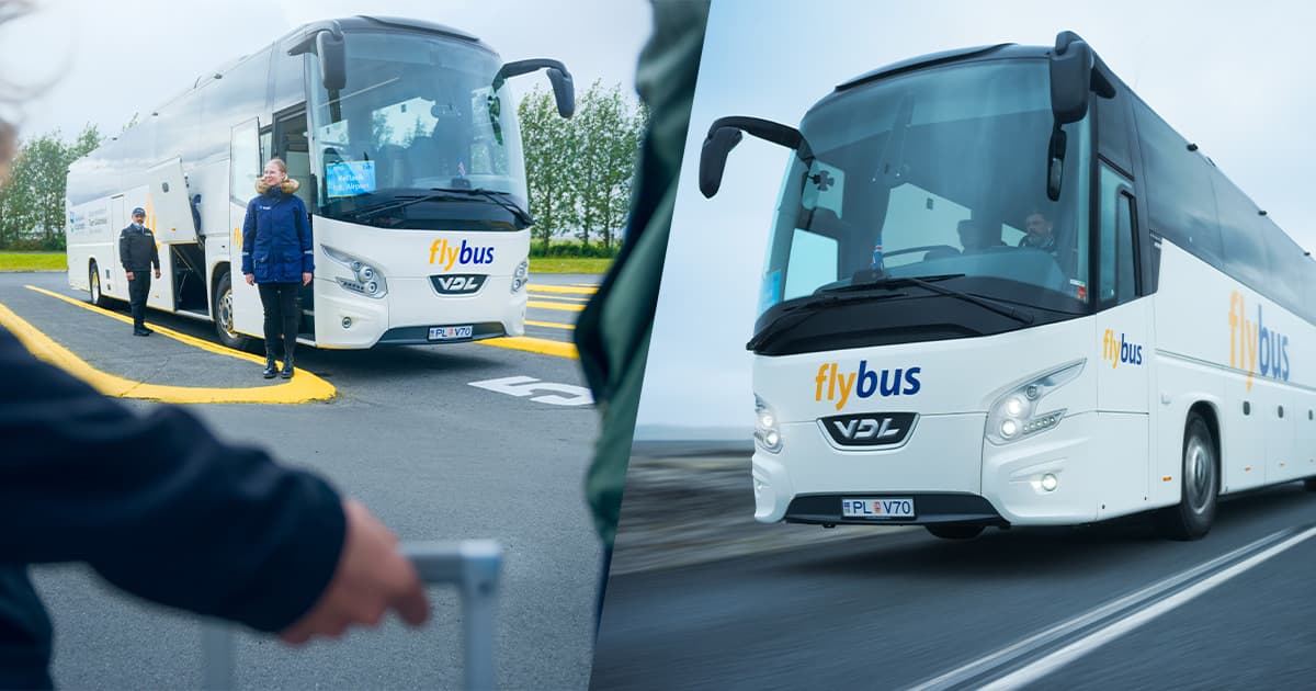 m-fly-bus-5