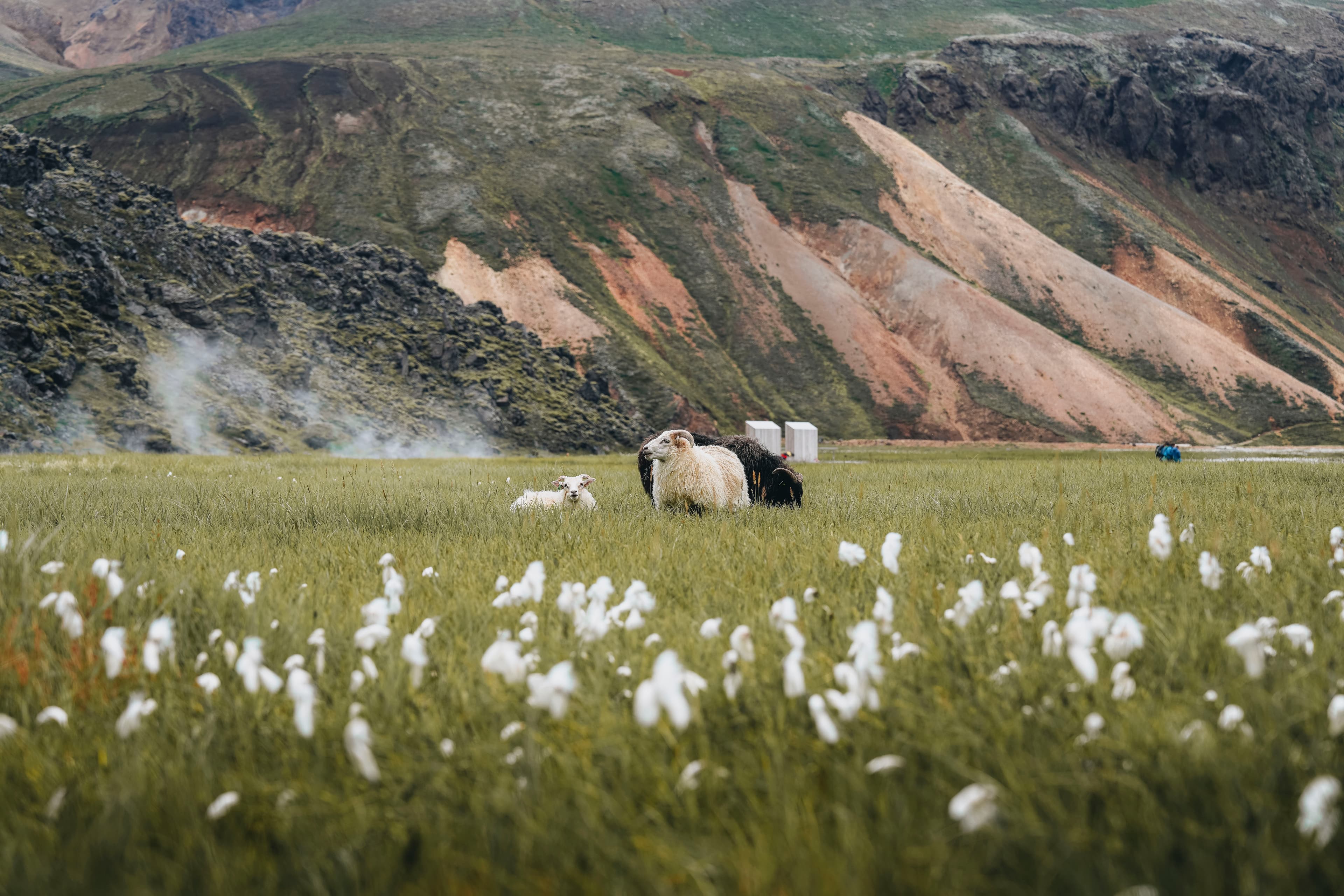 landmannalaugar-ota