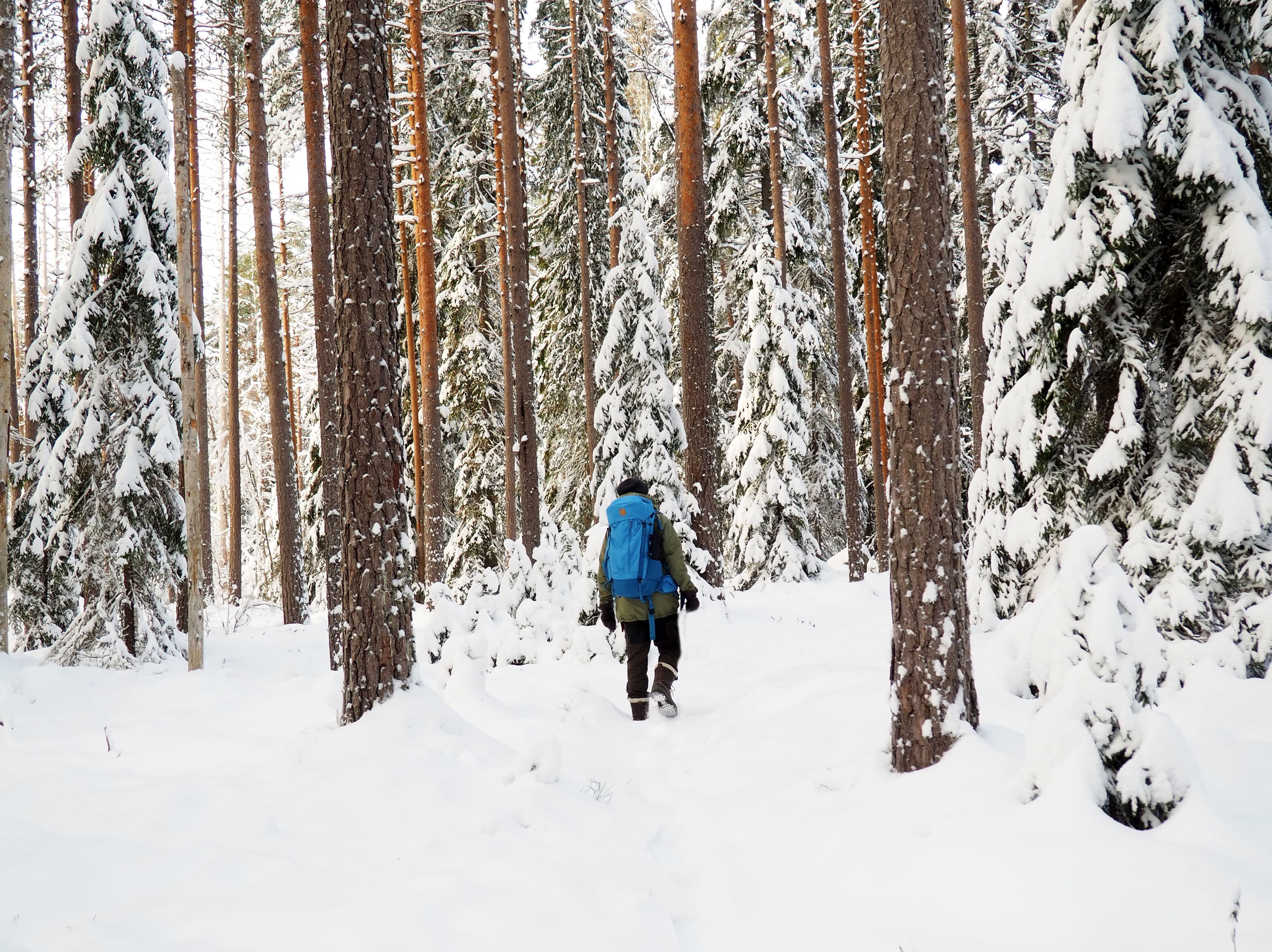 winter-hike-finland