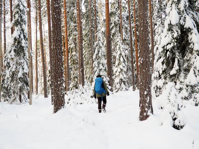 winter-hike-finland