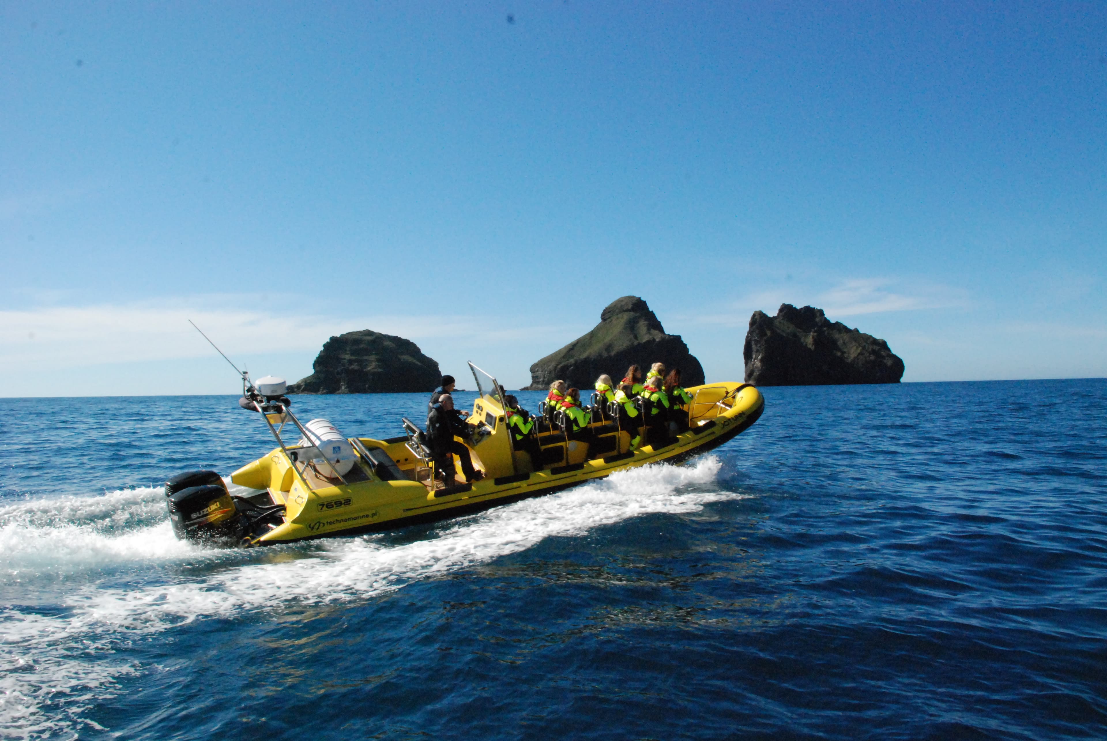 Westmann-islands-rib-boat-tour 5