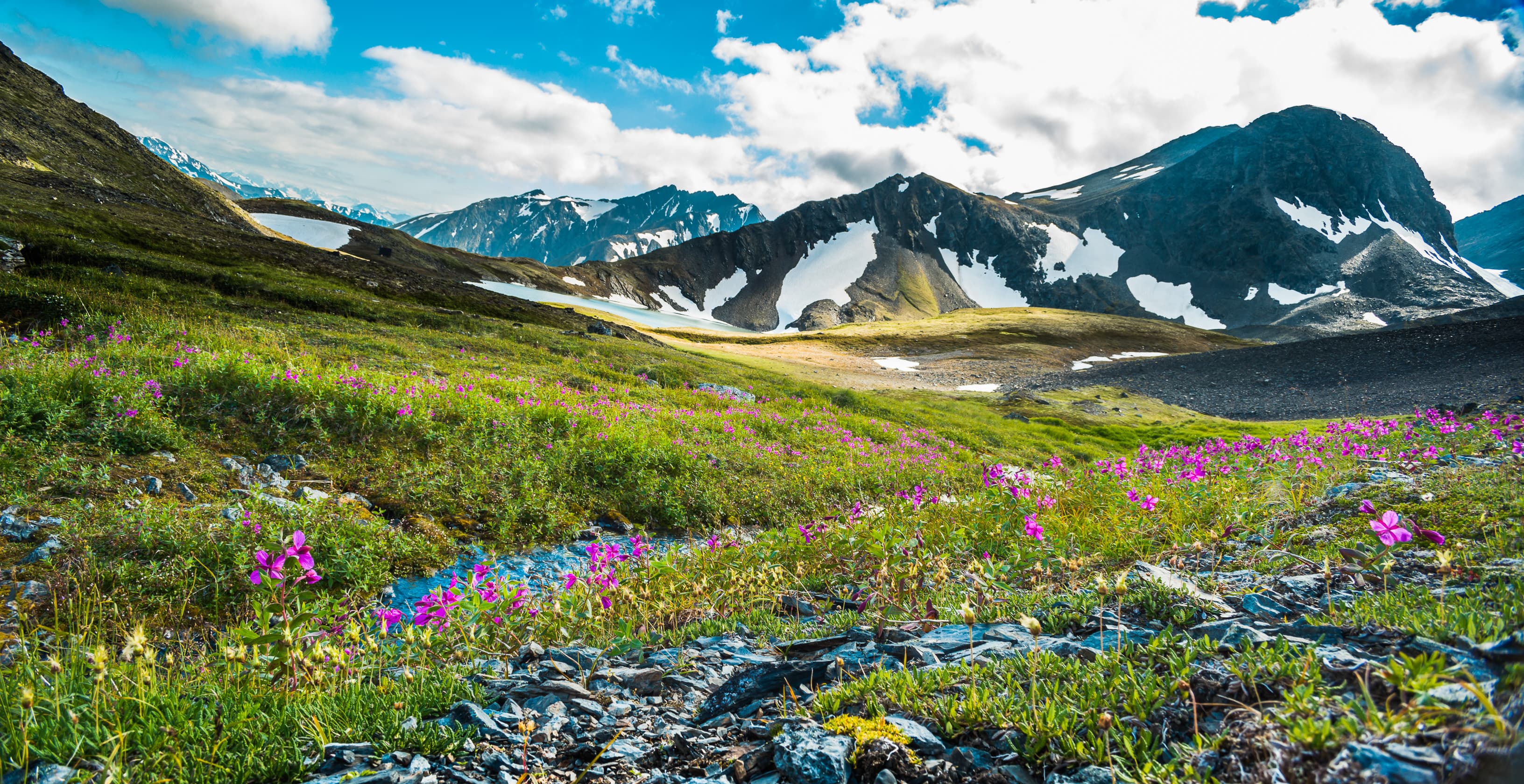 Top of Crow Pass