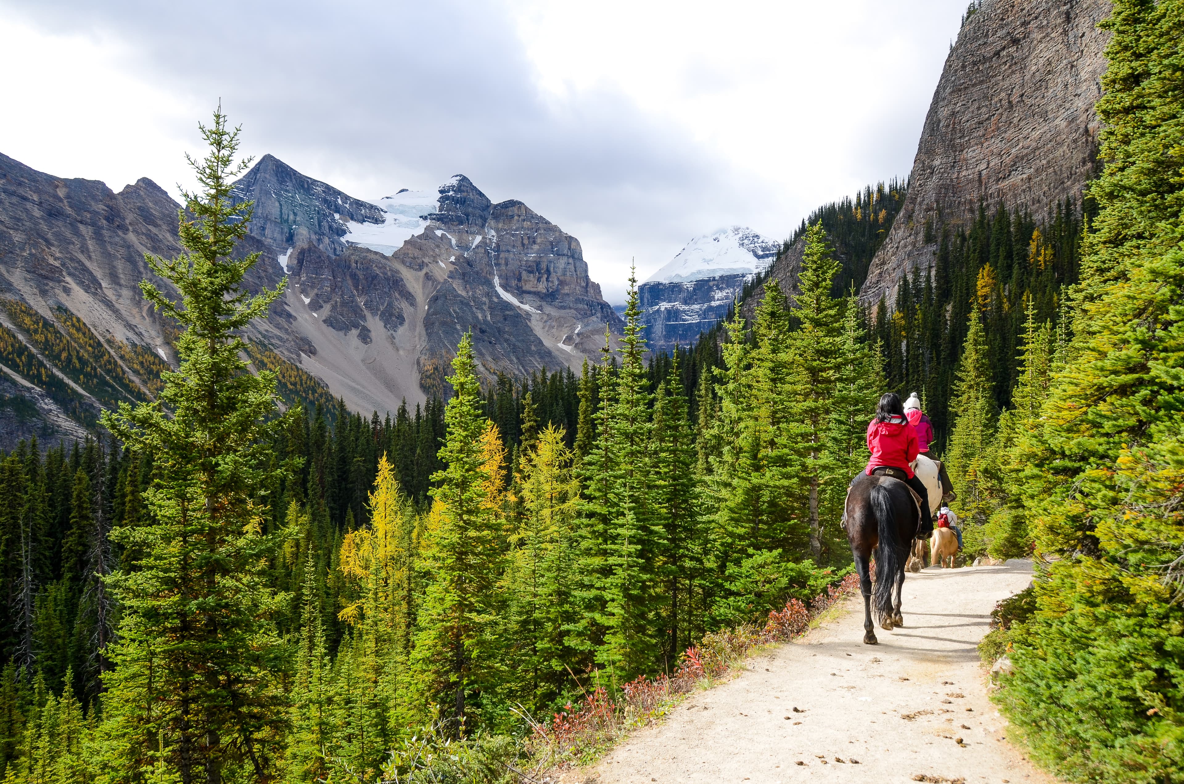Horse riding in Canadian Rockies