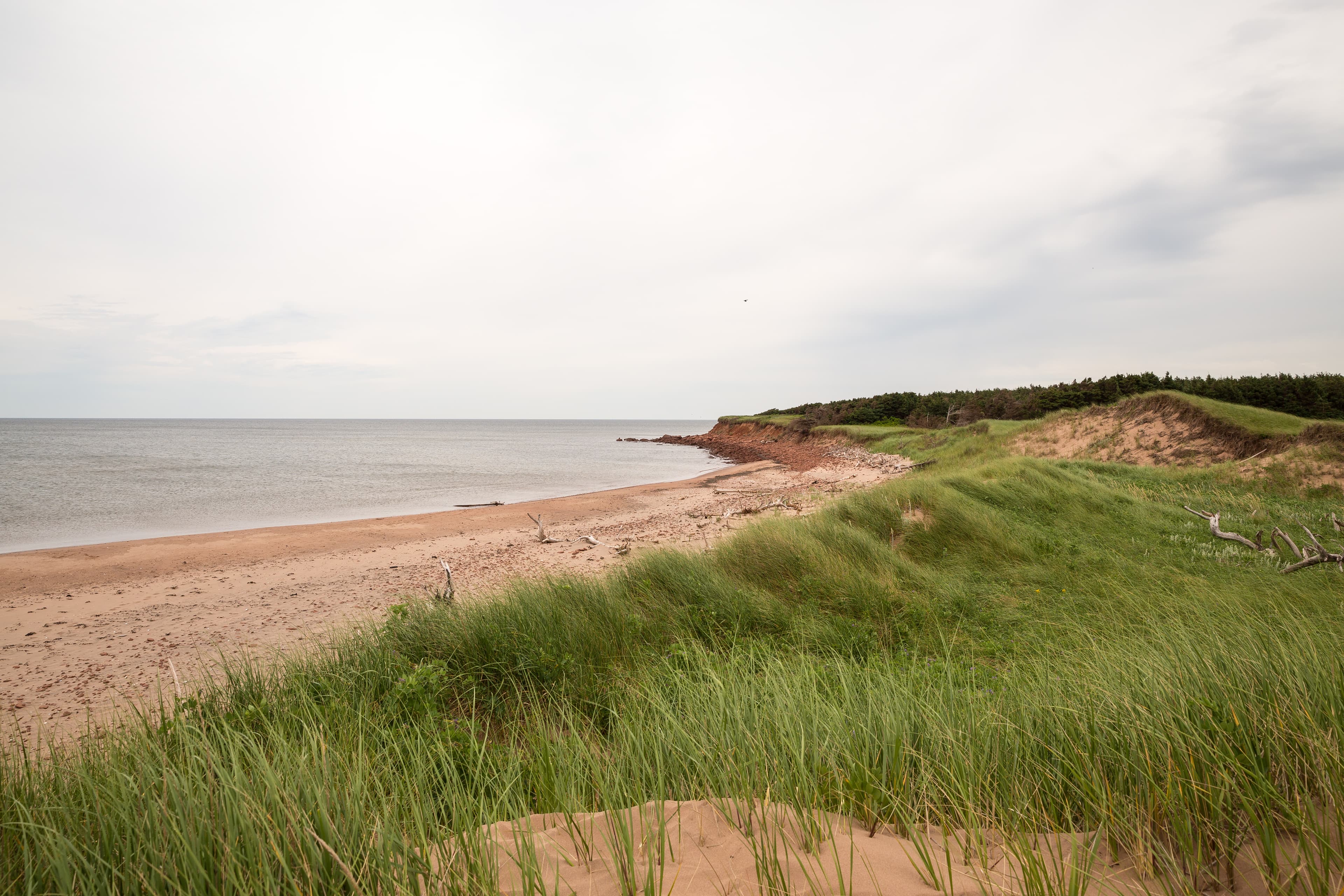 Charlottetown Attraction 6