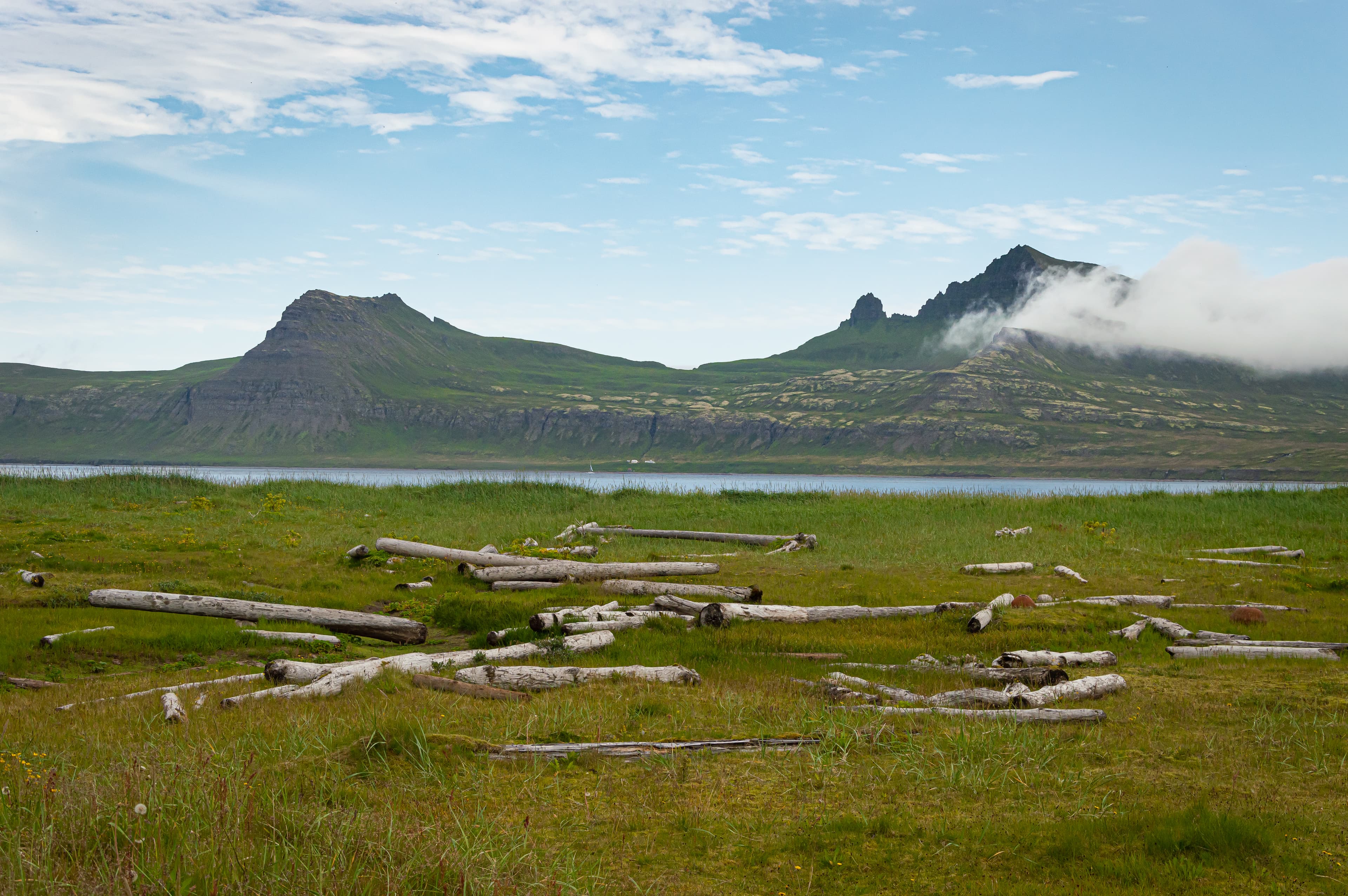 hornstrandir-iceland-30