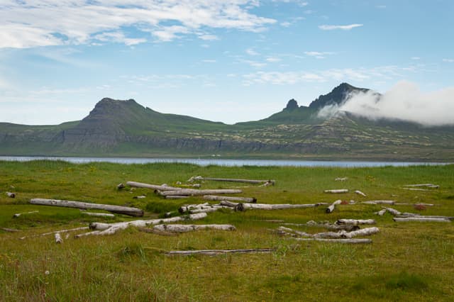 hornstrandir-iceland-30