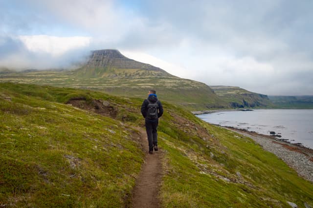 hornstrandir-iceland-23
