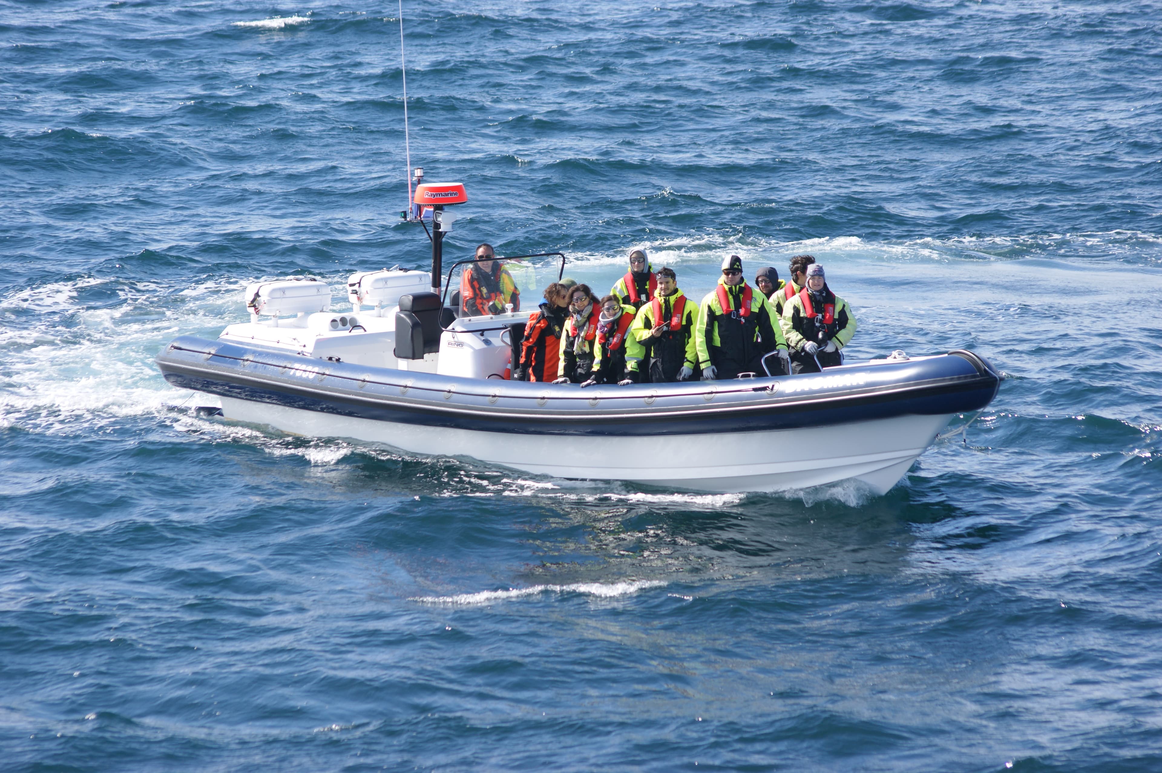 Whale-watching-rib-boat-reykjavík7
