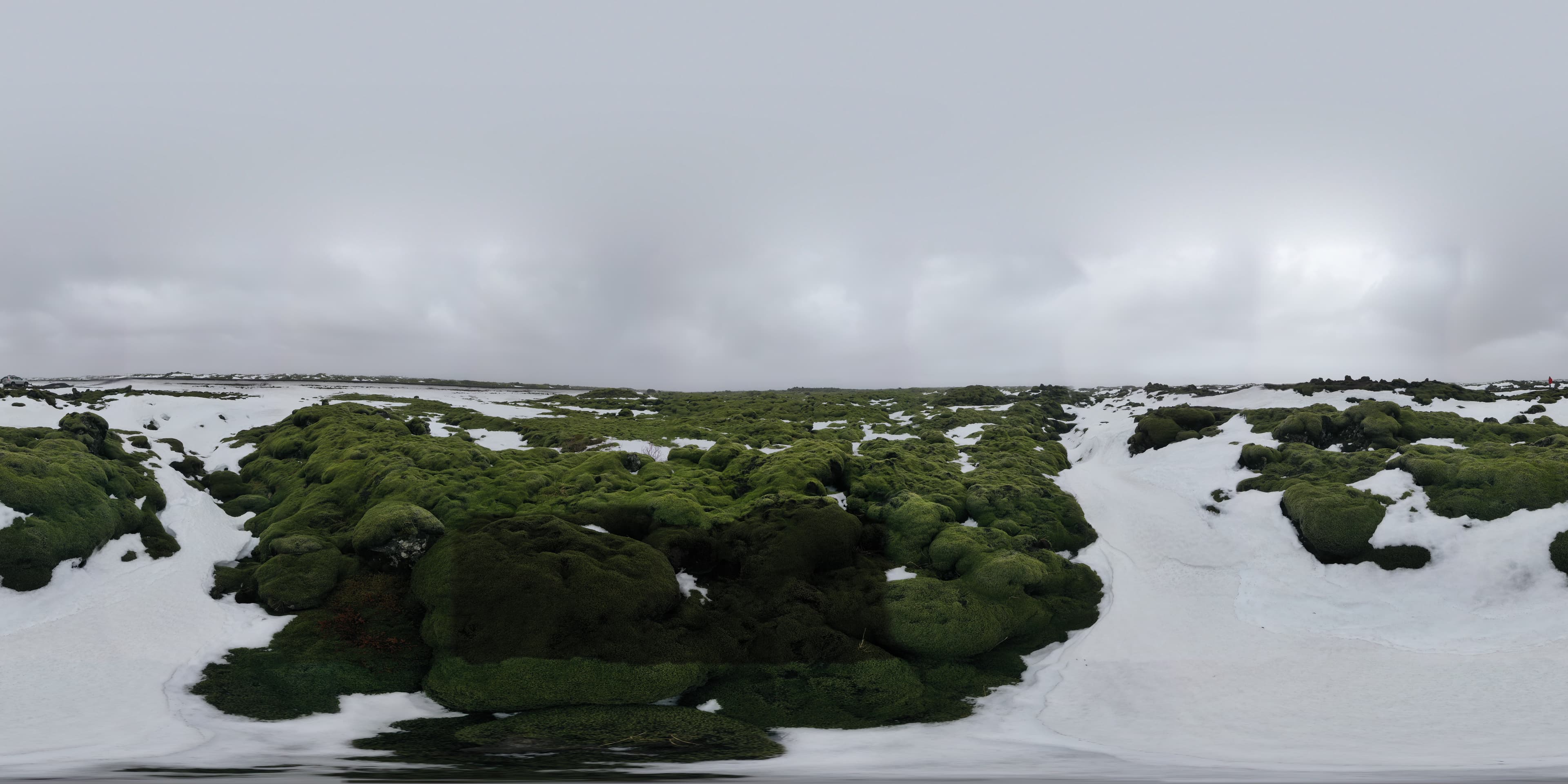 iceland-eldraun-lava-field-2019 8