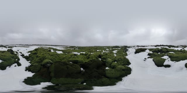 iceland-eldraun-lava-field-2019 8