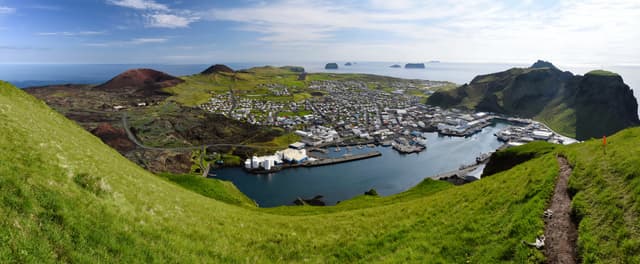 Westmann-islands-rib-boat-tour 3