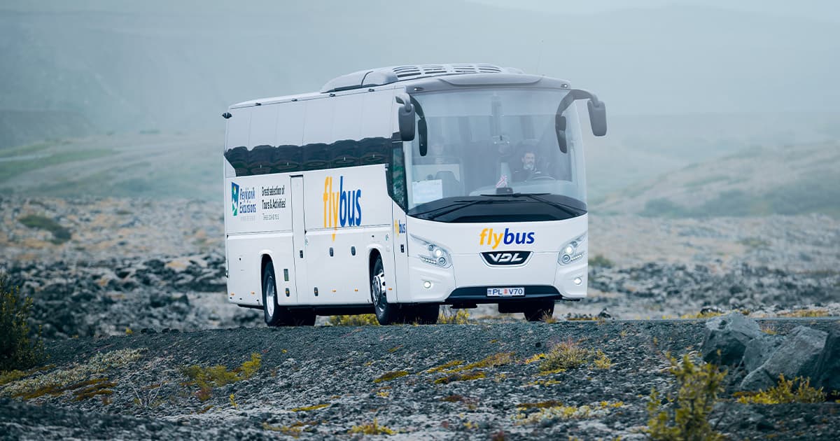 m-fly-bus-3