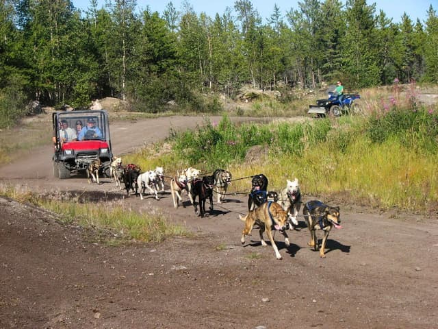 Yellowknife Dog Sledding Tour 1