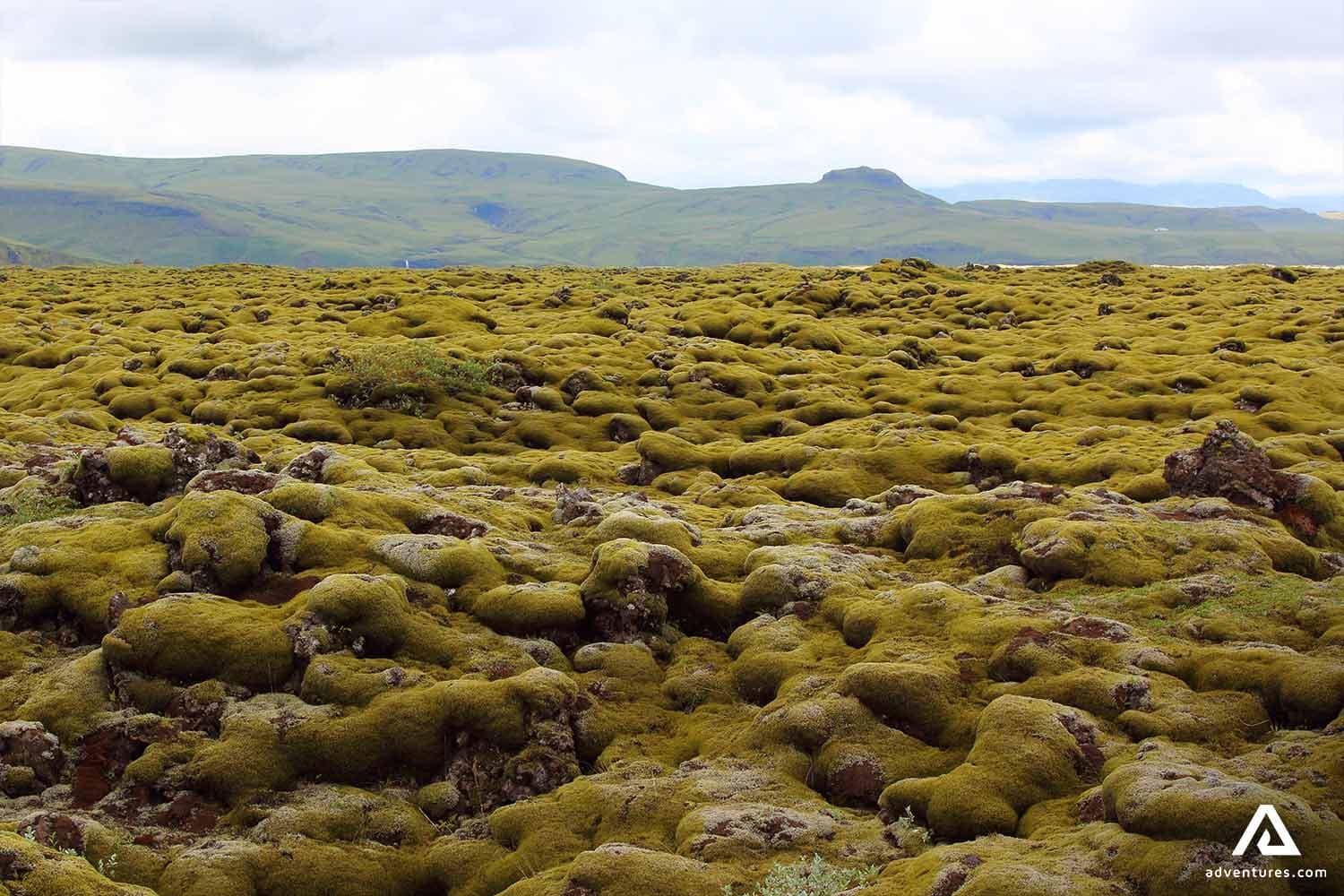 Eldhraun-green-lava-field-in-iceland