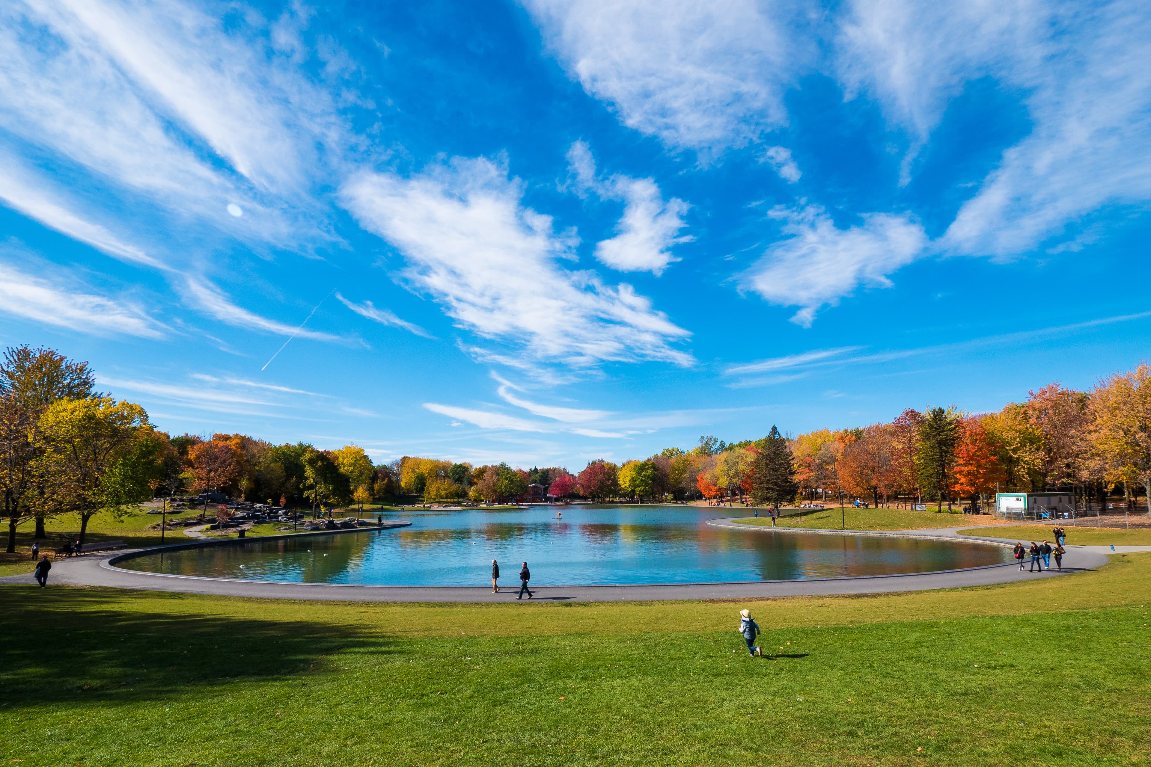 Montreal City Attraction 8