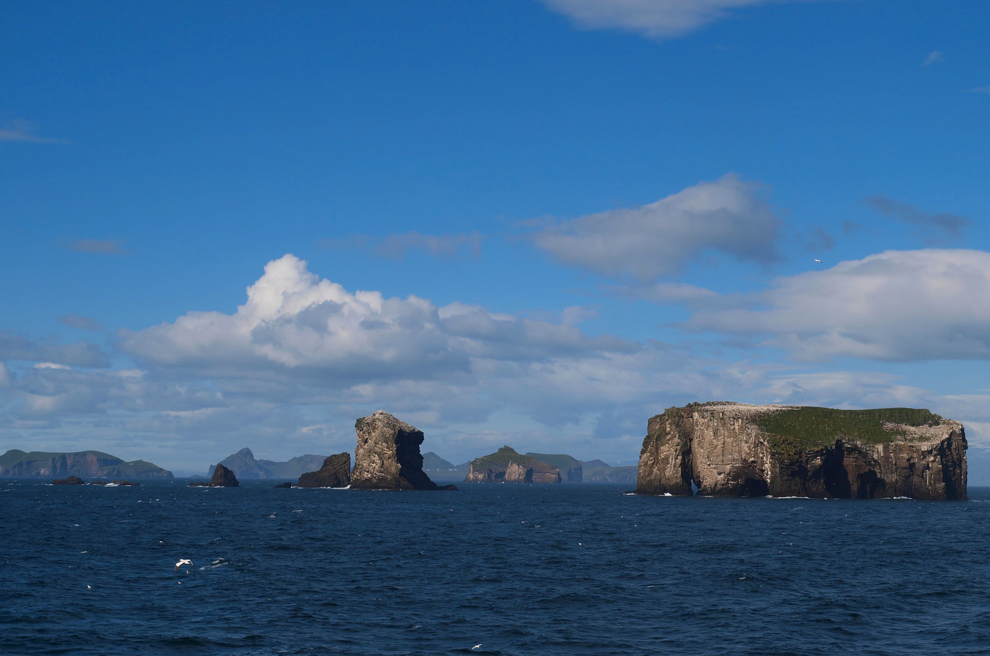 Westmann-islands-rib-boat-tour 4