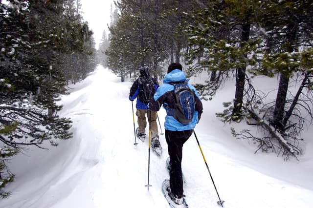 Snow shoeing