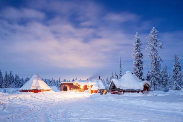 Winter landscape