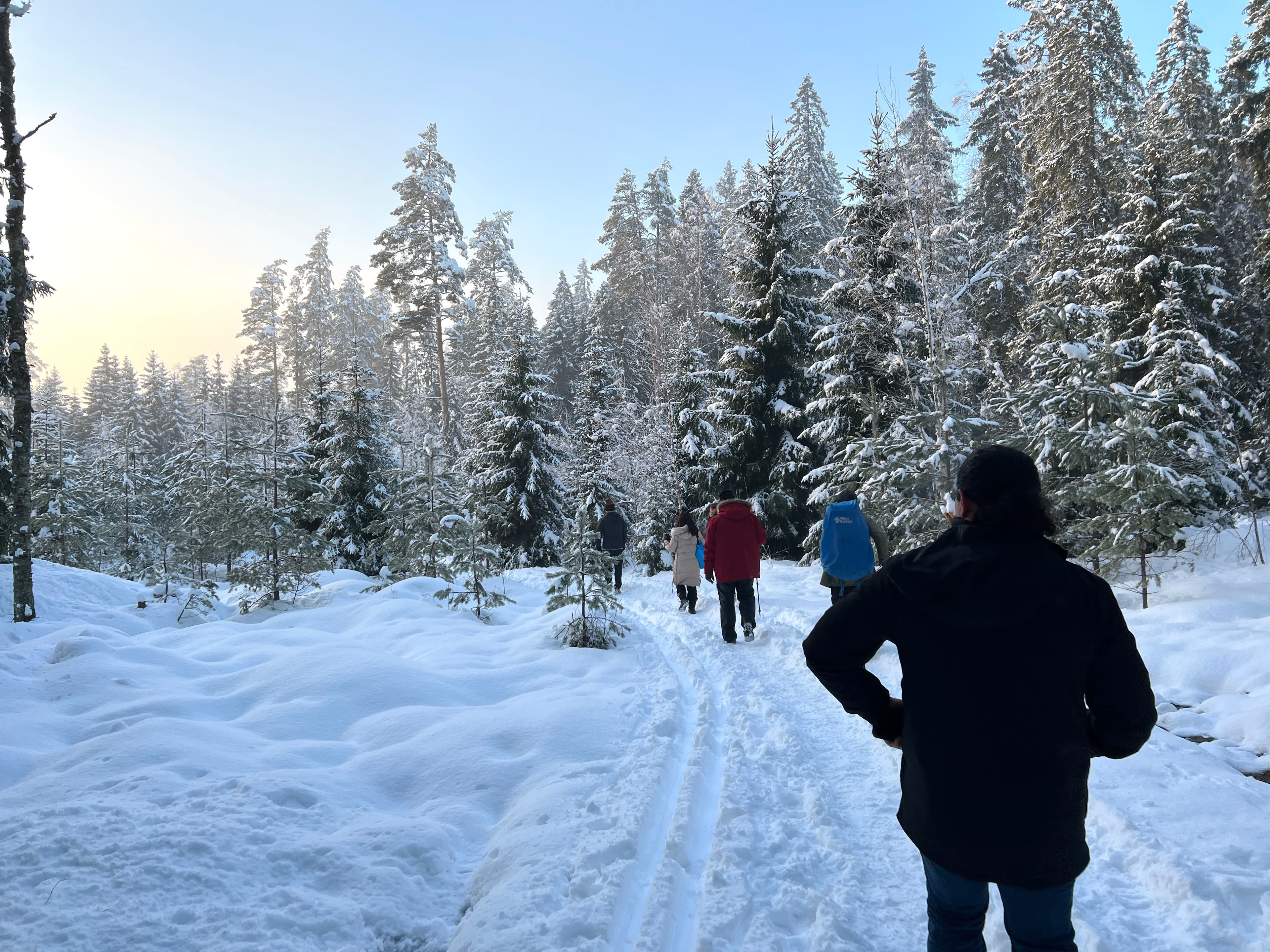 winter-wonderland-group-hike