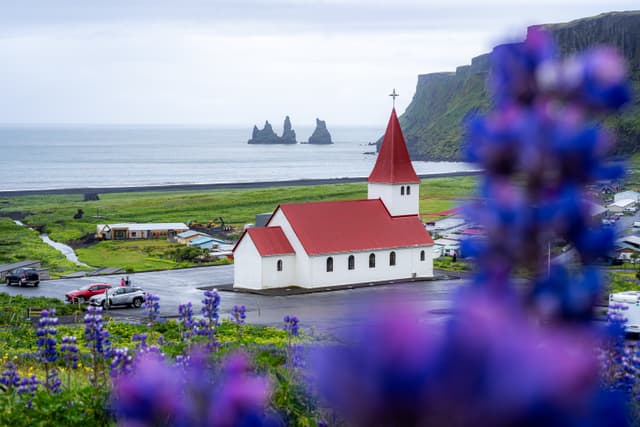 south-coast-tour-vik