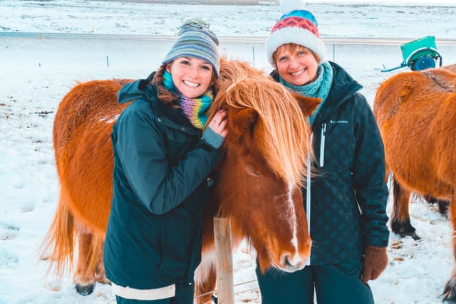 Horses