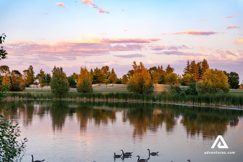 bird-watching-in-winnipeg