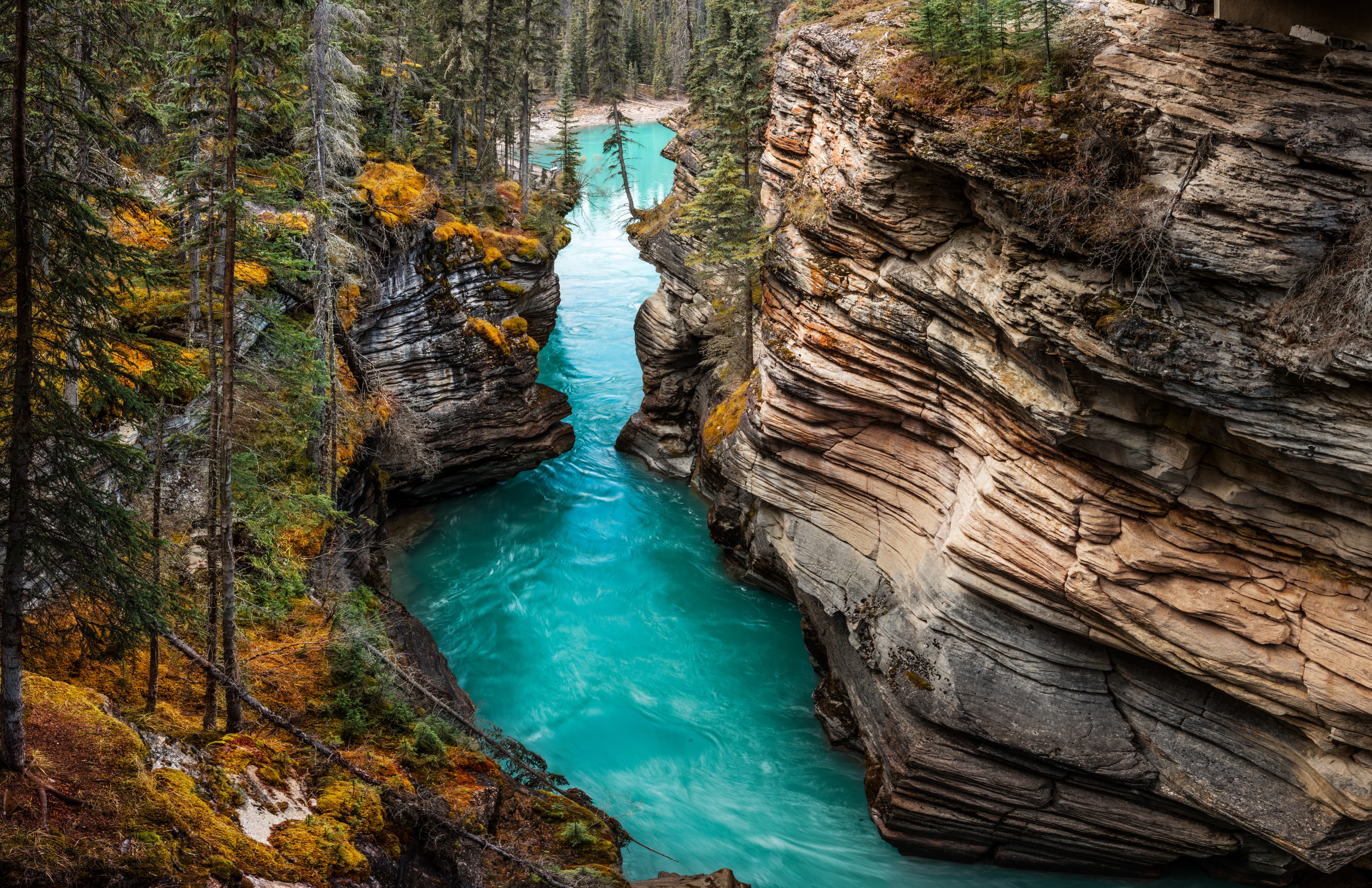 Athabasca Falls