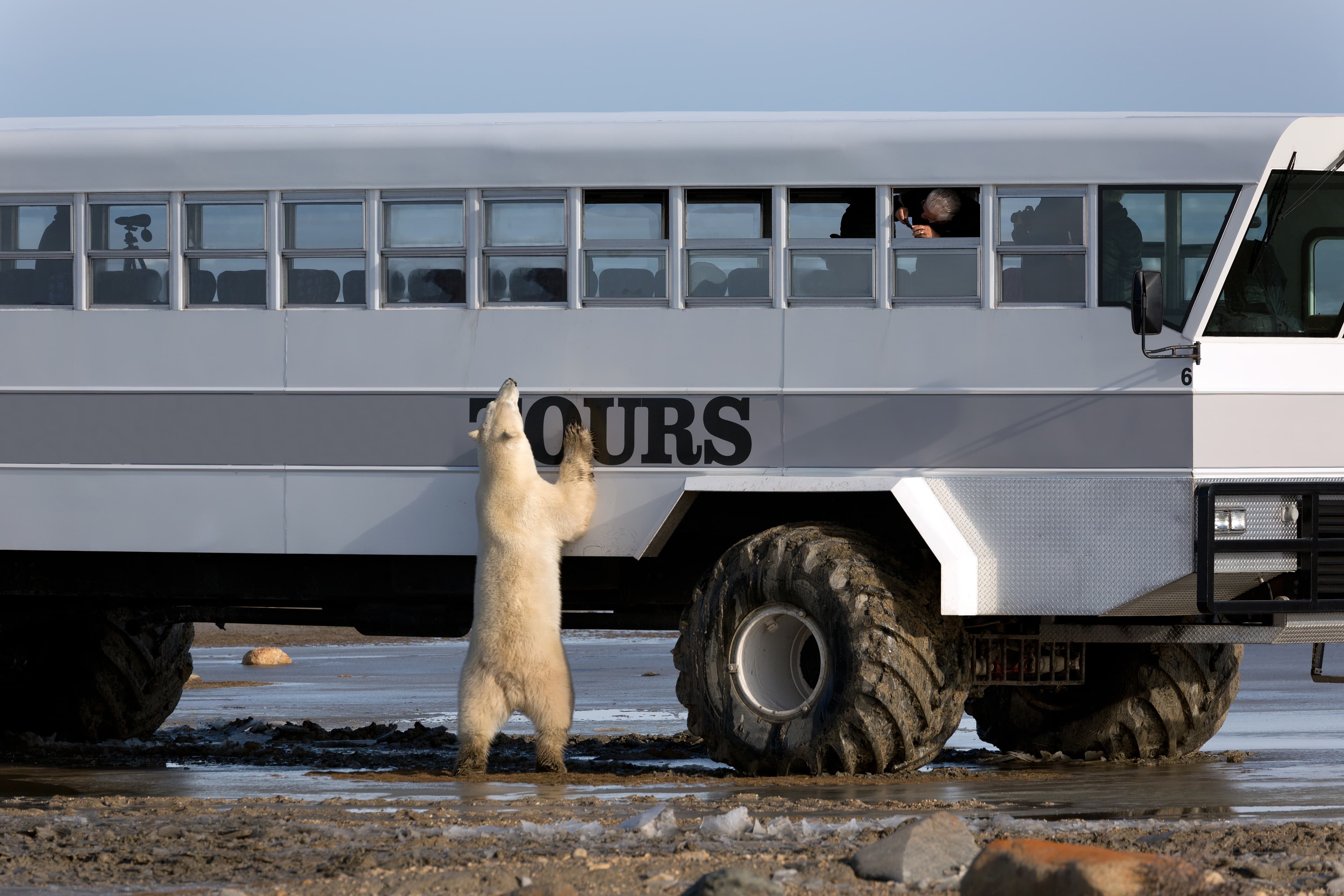 Churchill Attraction 2