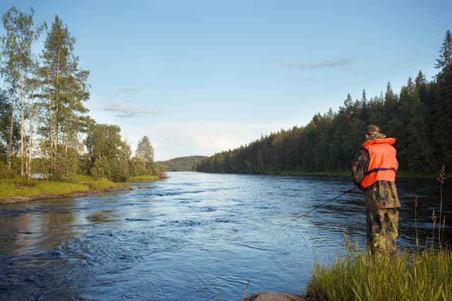 trout fishing