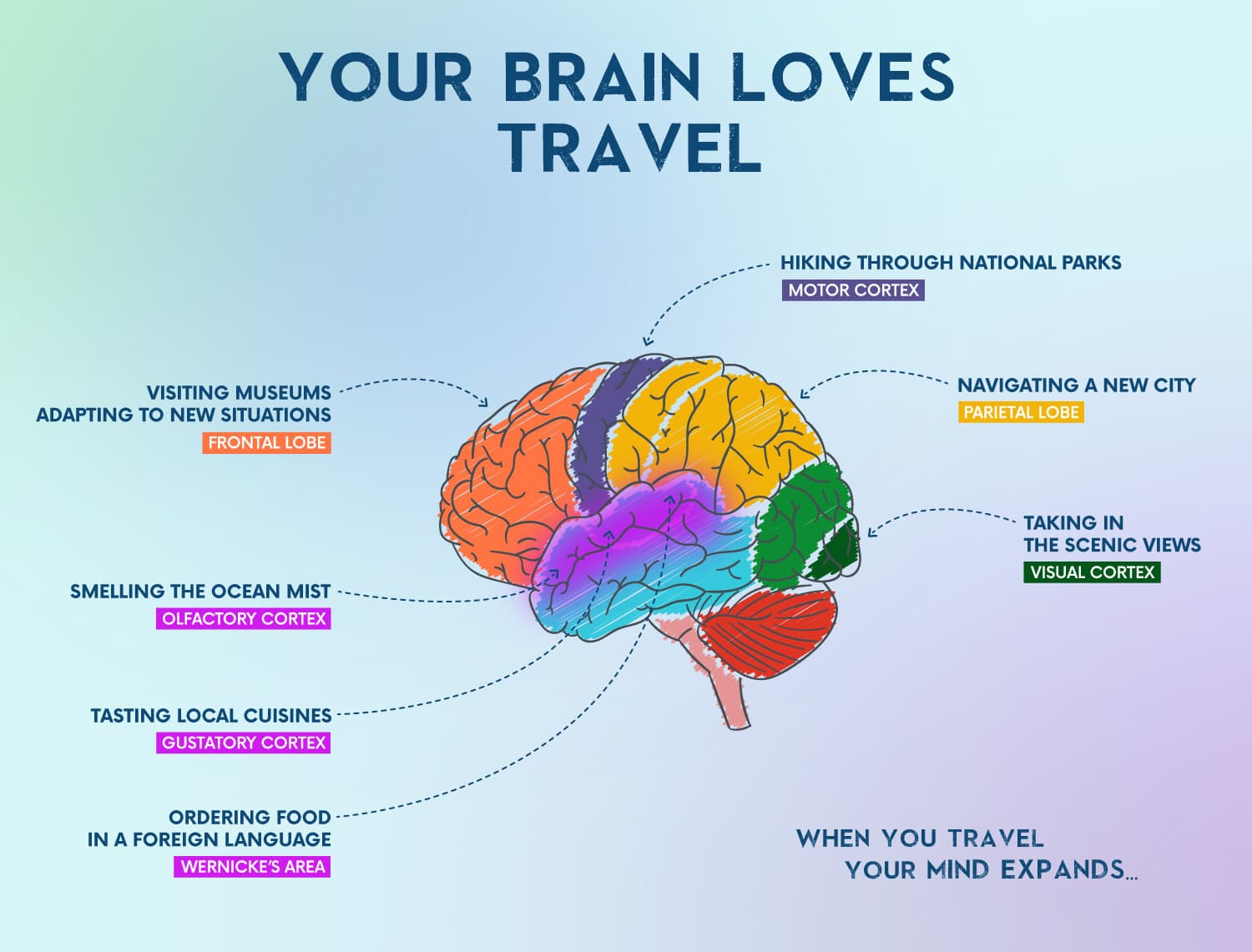 travel-changes-your-brain