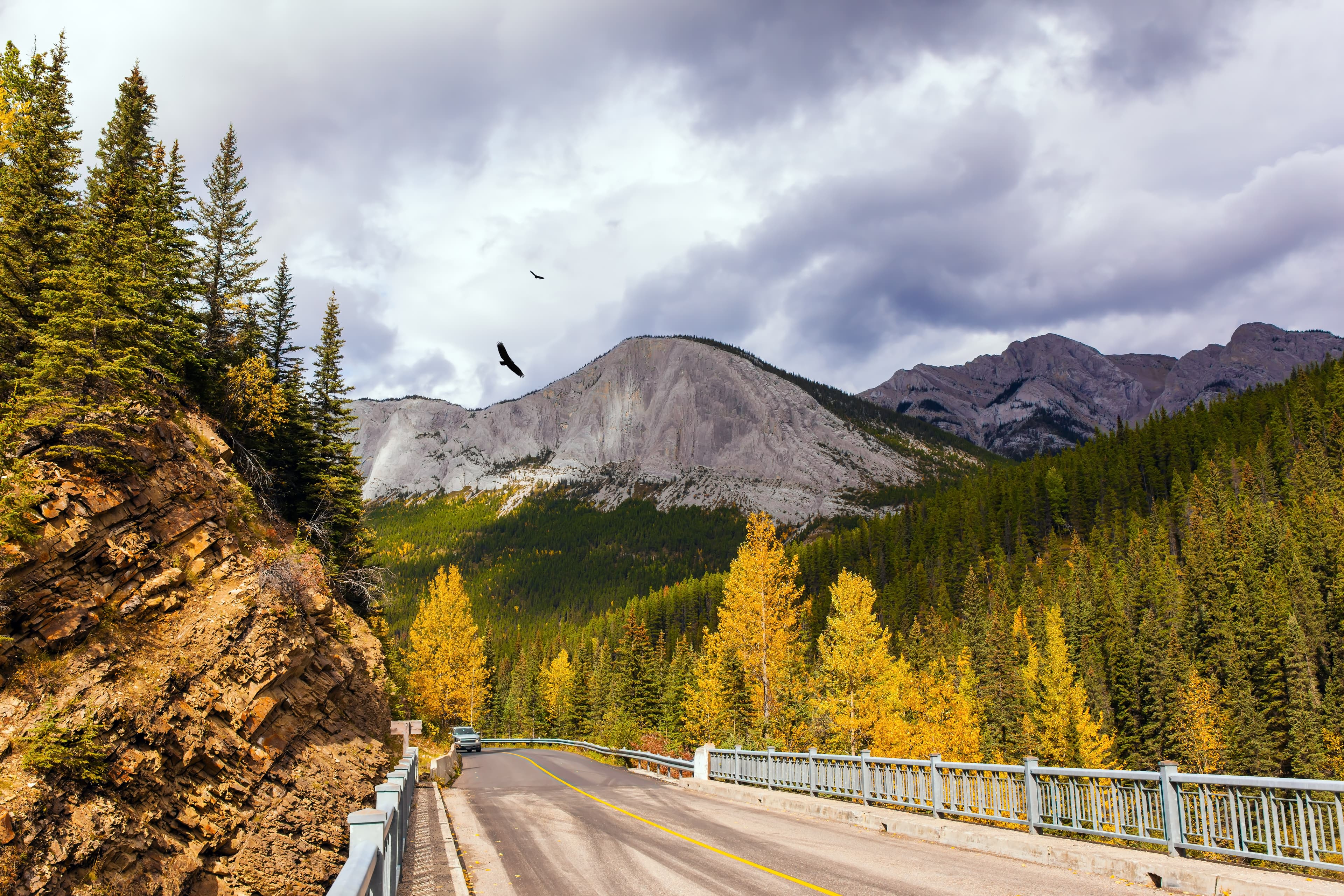 Road to Miette Hot Springs 