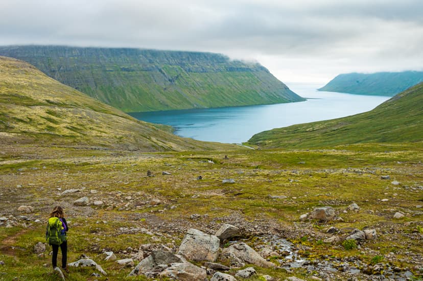 hornstrandir-iceland-5