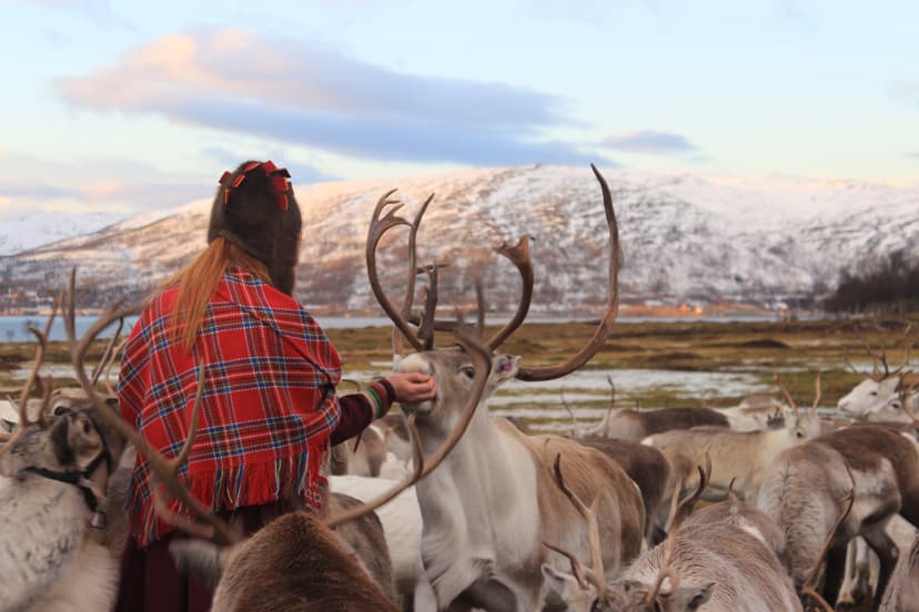 Woman-with-red-scarf-feeding-reindeers