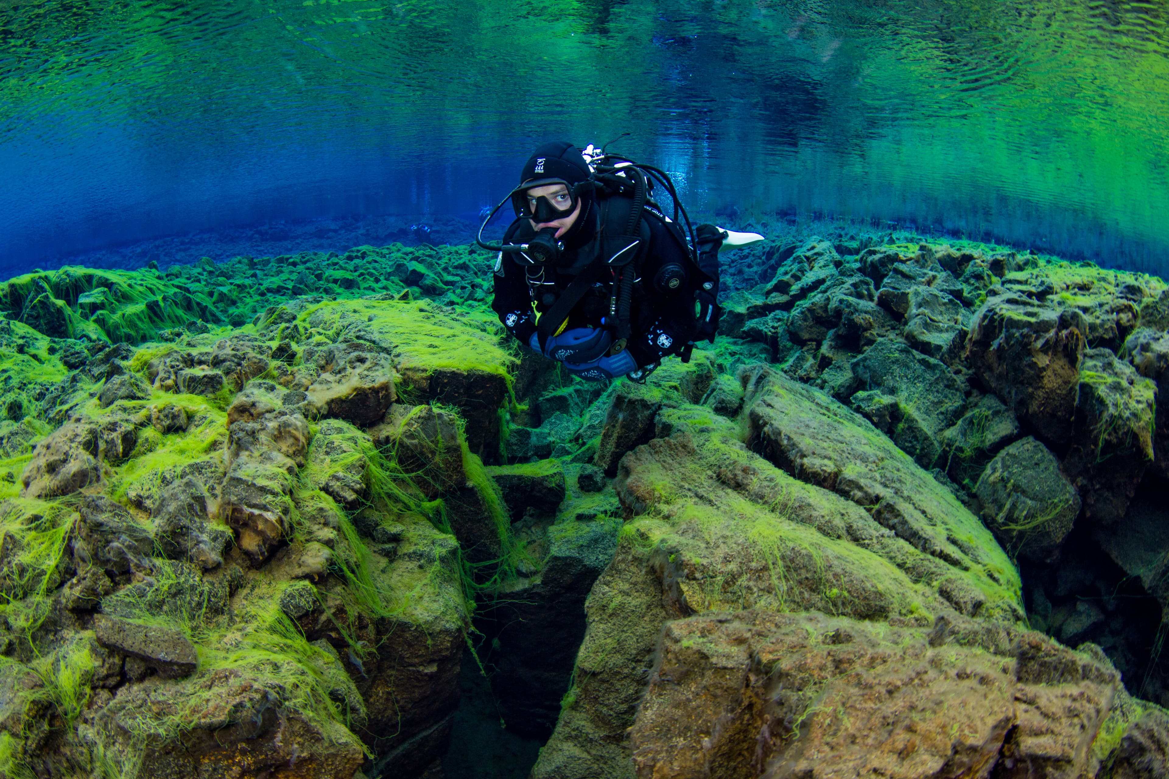 Diving-Silfra-Thingvellir-Iceland (27)
