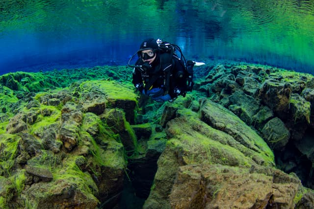 Diving-Silfra-Thingvellir-Iceland (27)