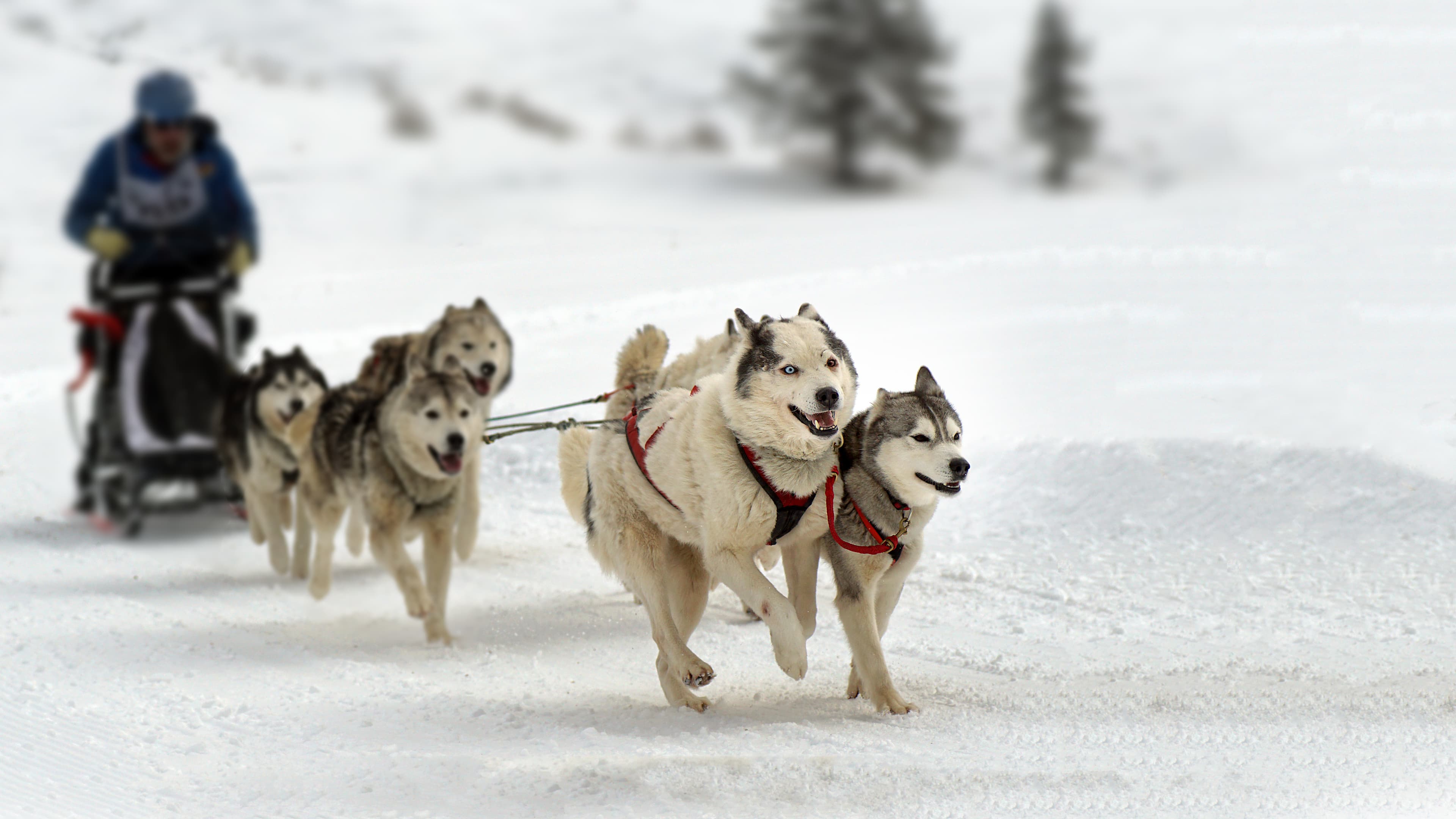 Northwest Territories Region 05