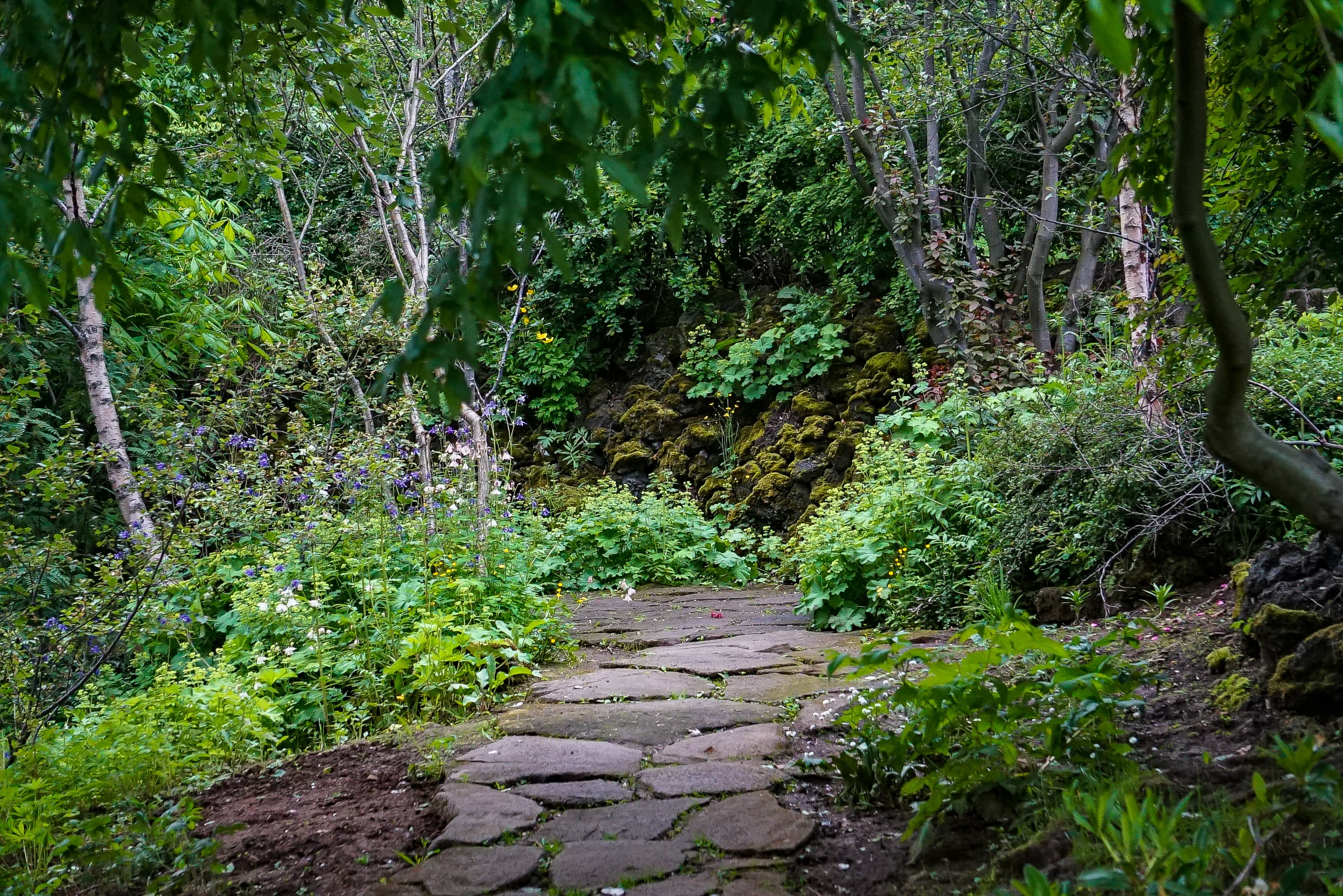 park-hafnafjordur-01288