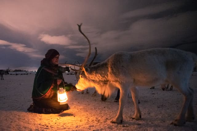 Woman-petting-reindeer-at-night
