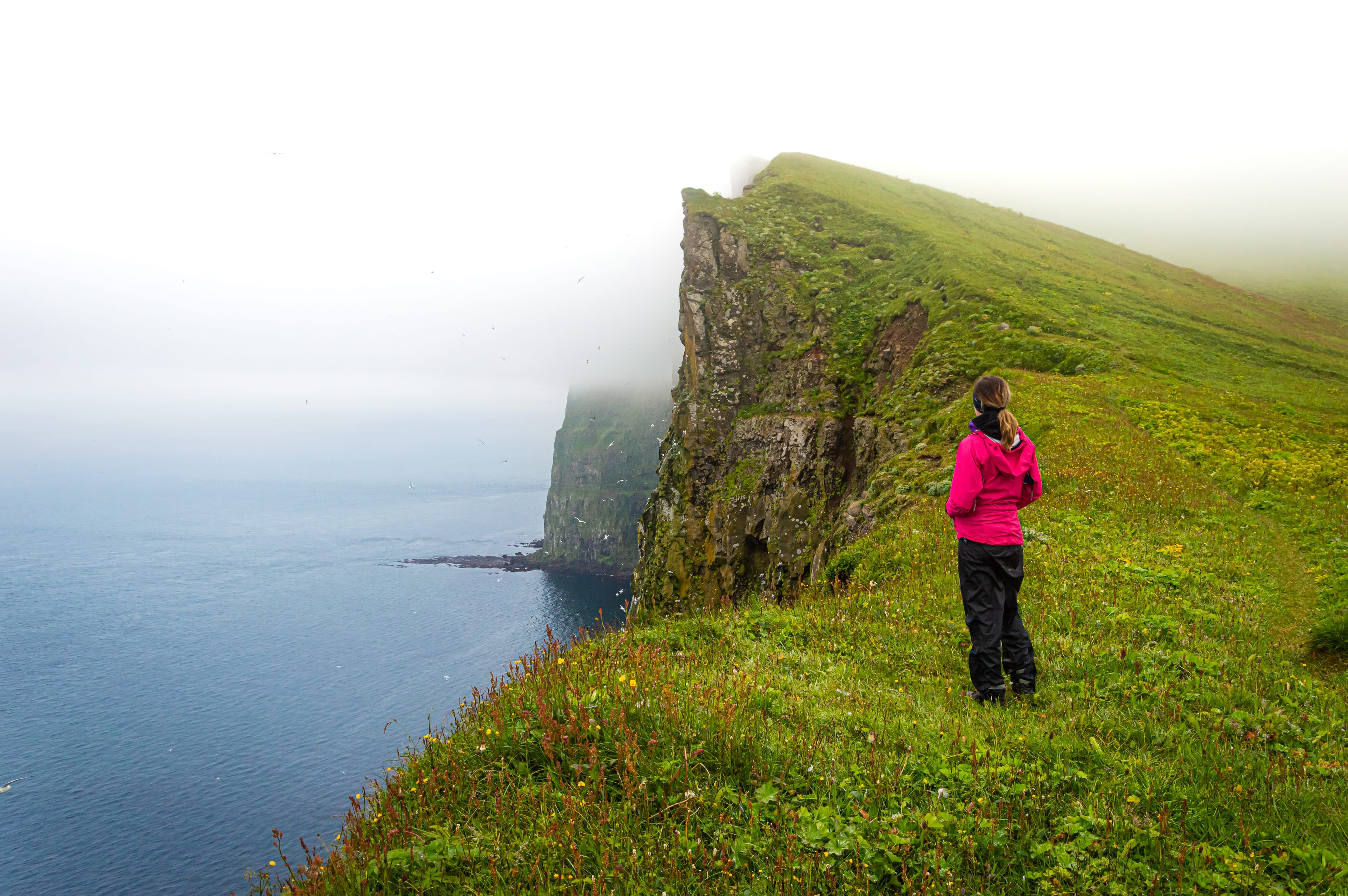Hornstrandir-Westfjords-Iceland