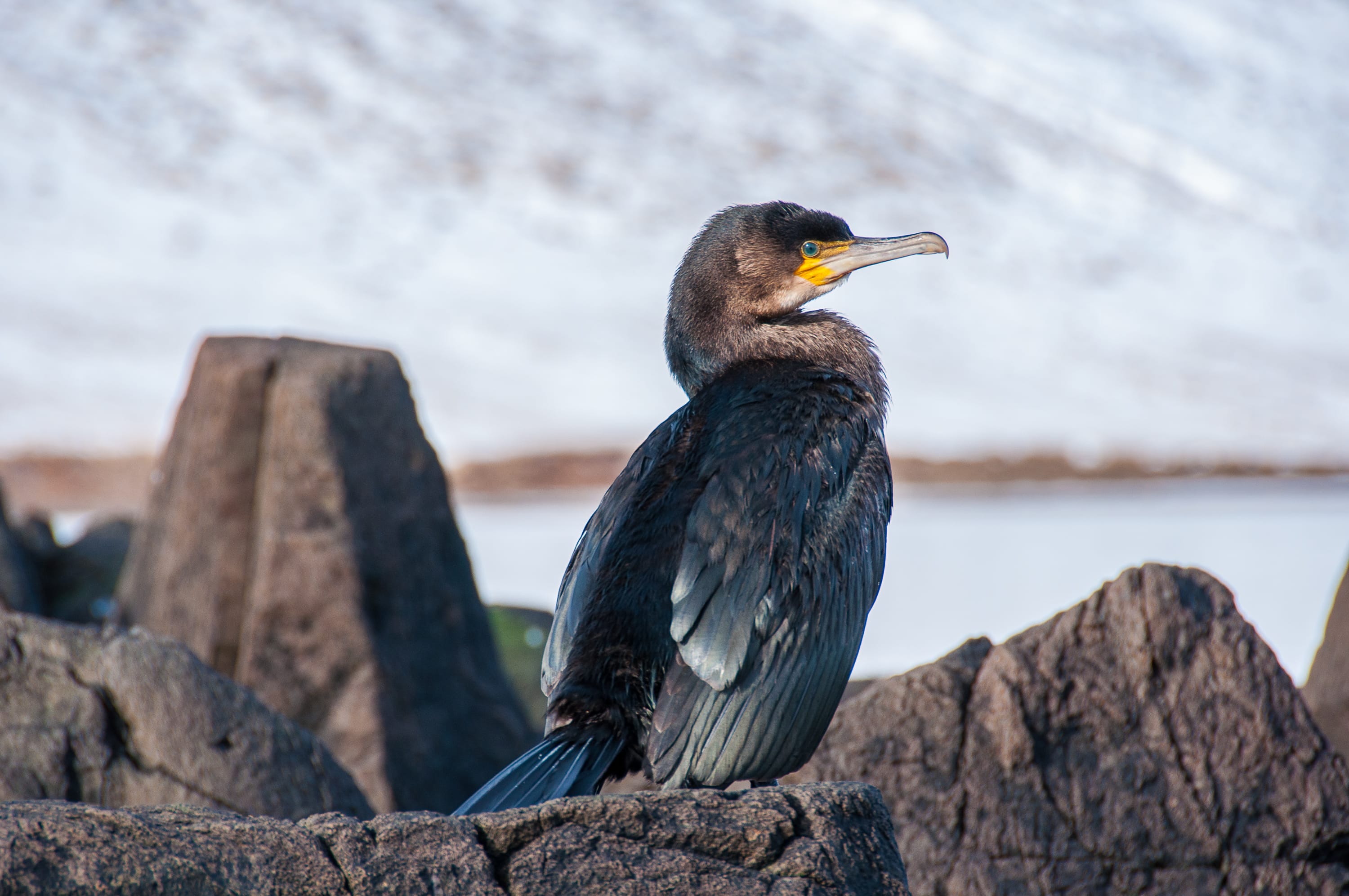 Winter-Kayaking-Kirkjufel