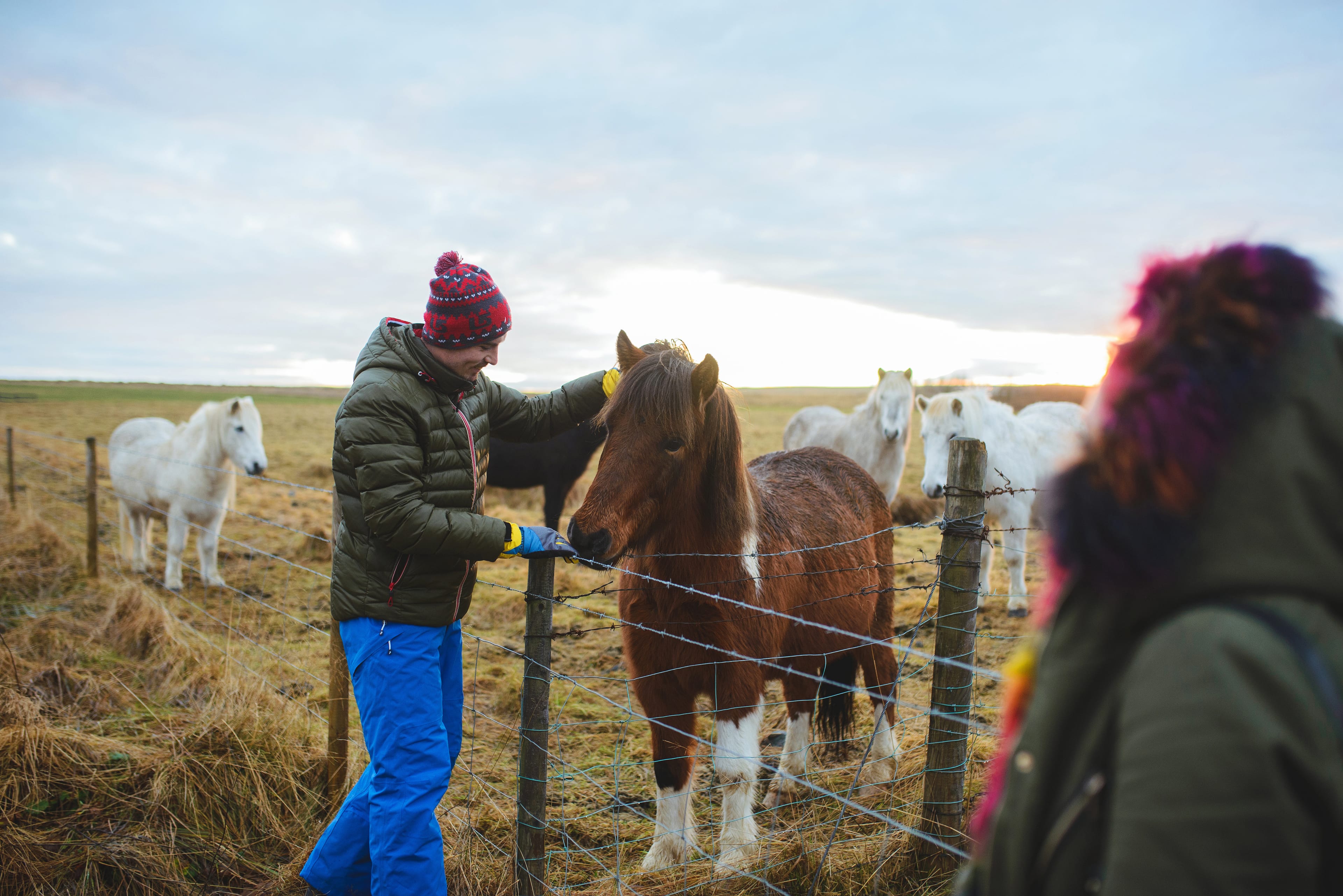 Woman Looking at Man with Horse
