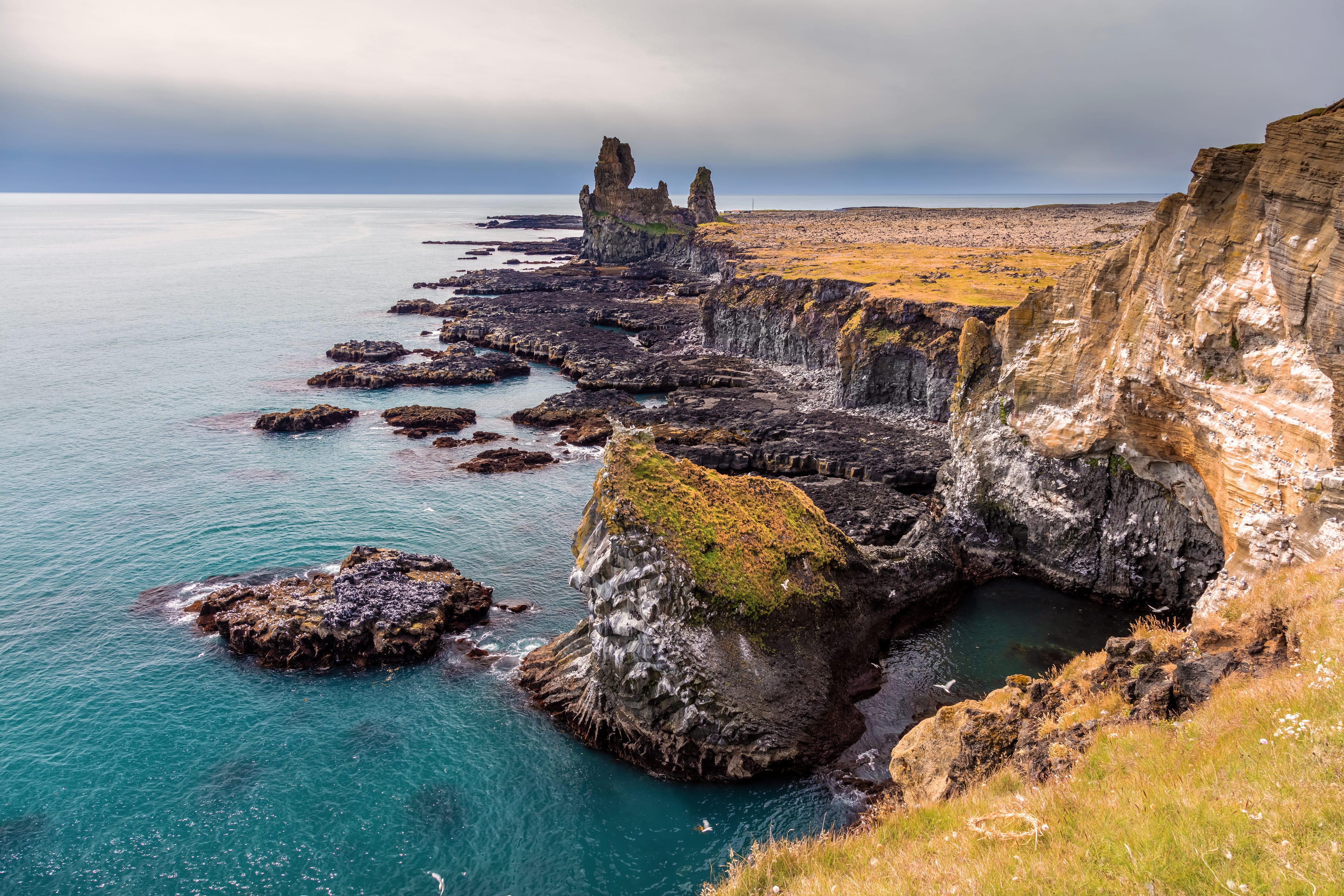Latrabjarg Cliffs Westfjords