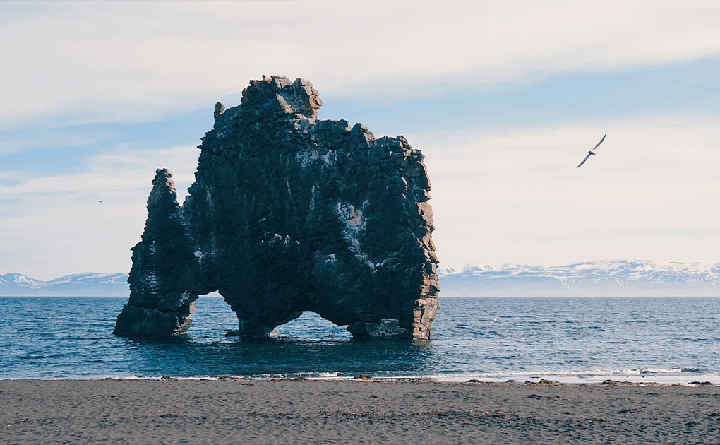 t-hvitserkur