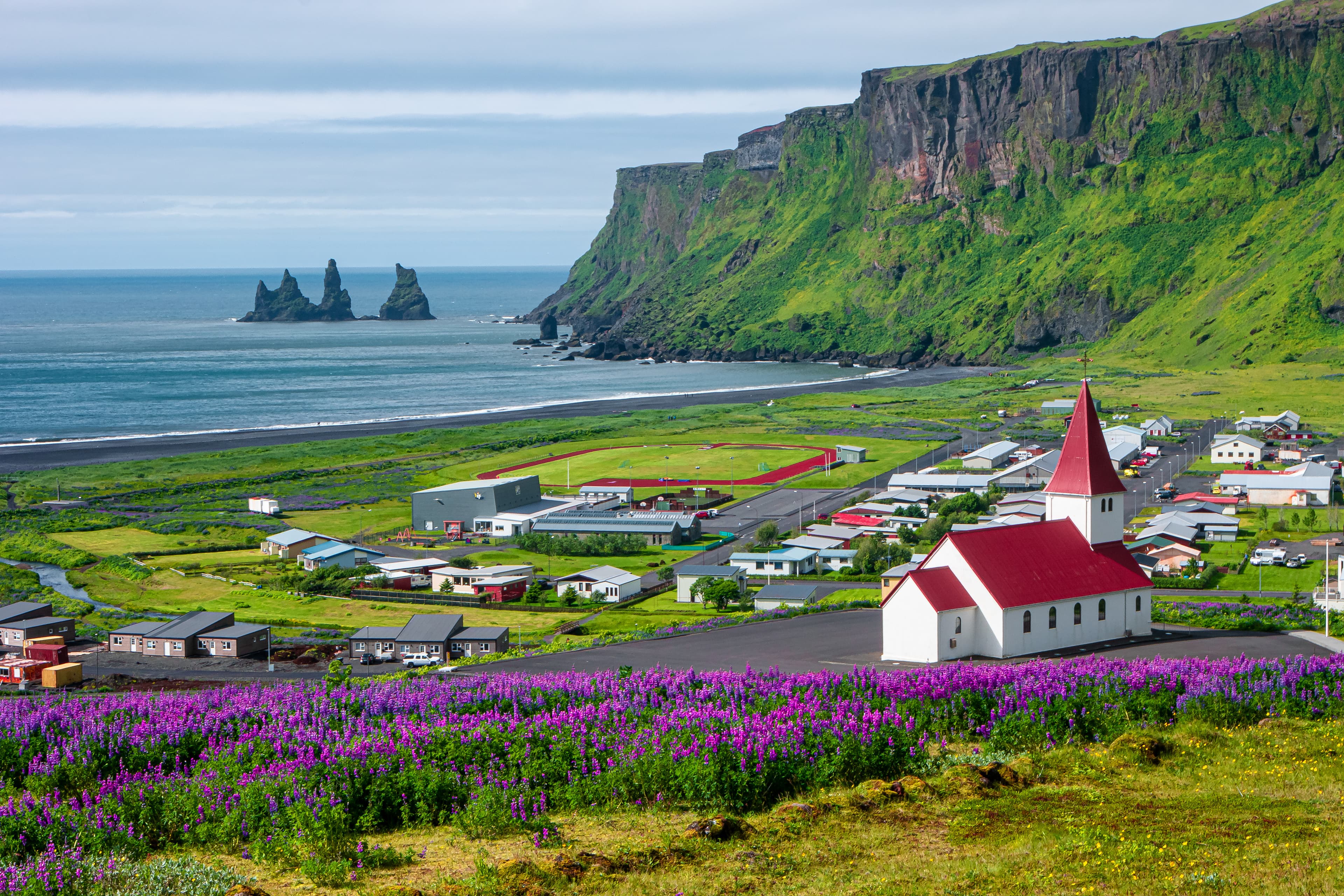 View of basalt stacks Reynisdrangar, black sand beach near Vik and violet lupine flowers and lonely church, South Iceland View of basalt stacks Reynisdrangar, black sand beach near Vik and violet lupine flowers and lonely church, South Iceland, summer time