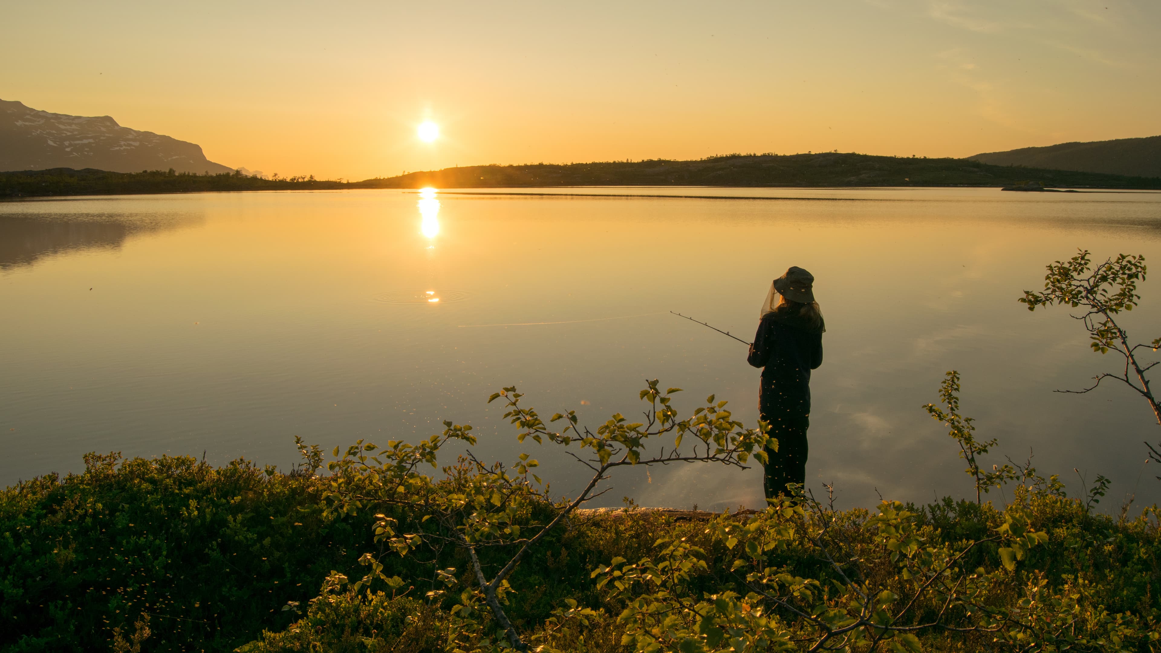 Midnightsun in Scandinavia. A girl is fishing in front of the great scenery. A mosquito hat is a necessity.
