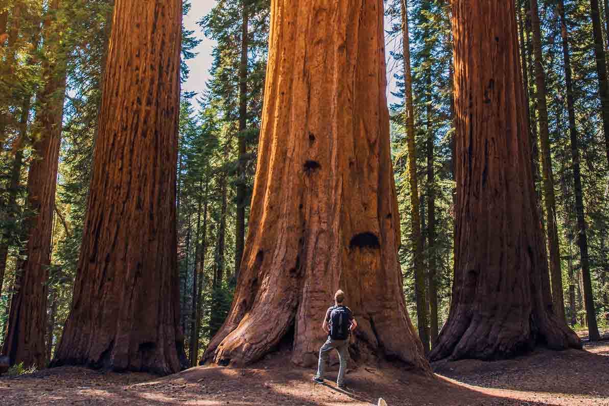 Wilderness Camping on Vancouver Island 4