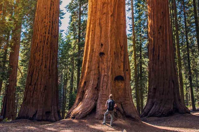 Wilderness Camping on Vancouver Island 4