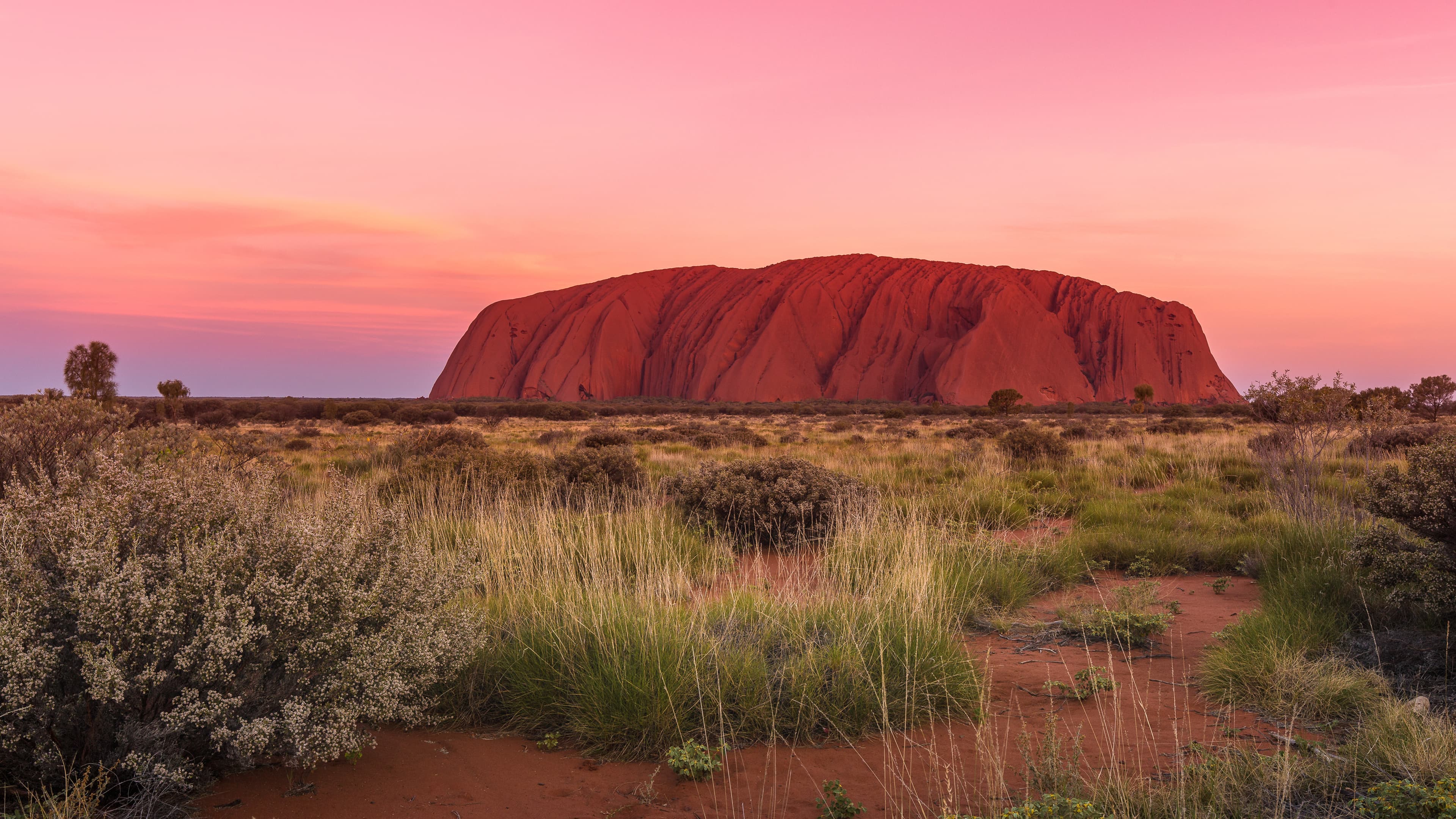 Uluru before sunset colors, Ayers Rock, Red Center, Australia